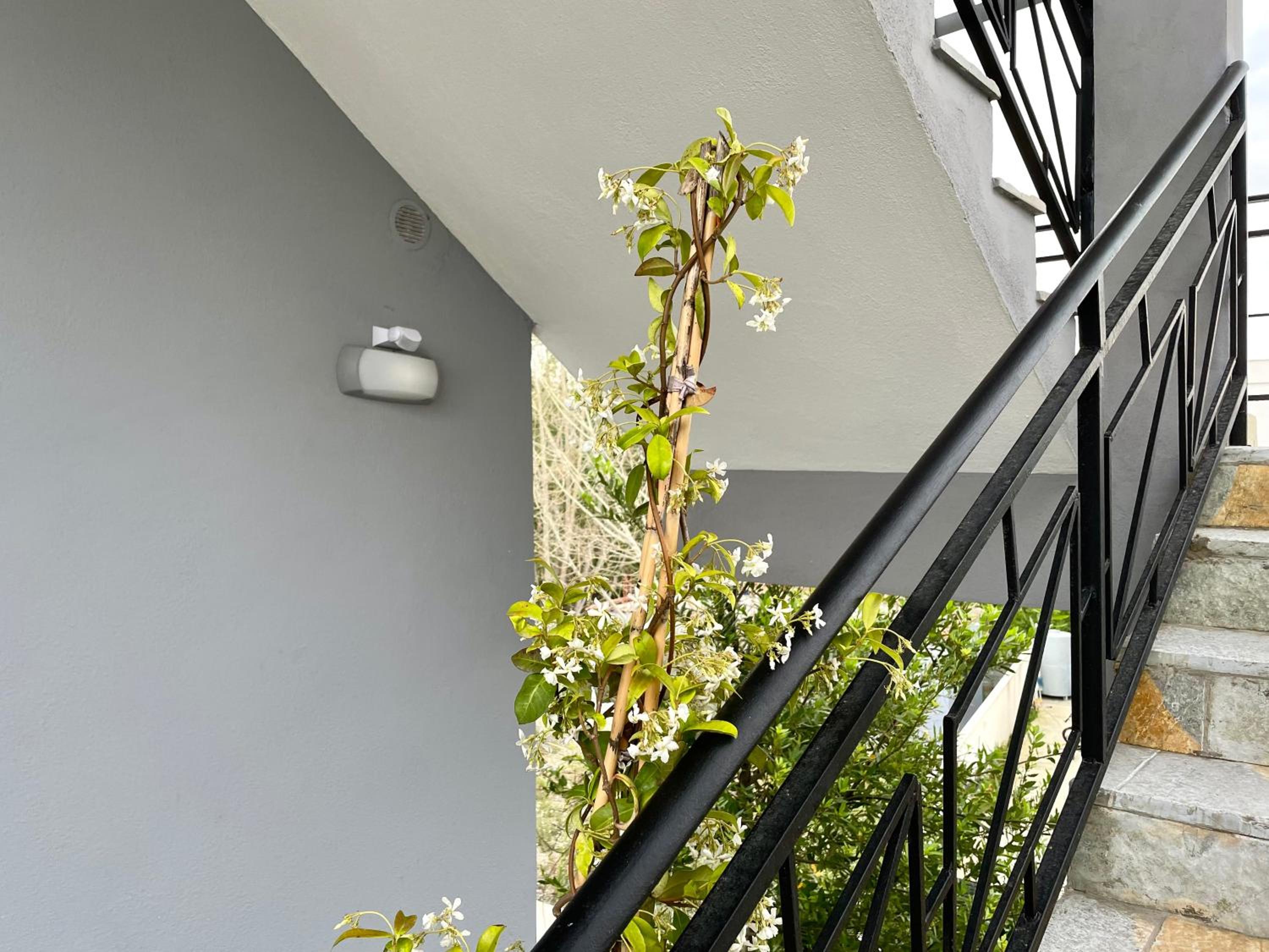 Residenza Lumturi