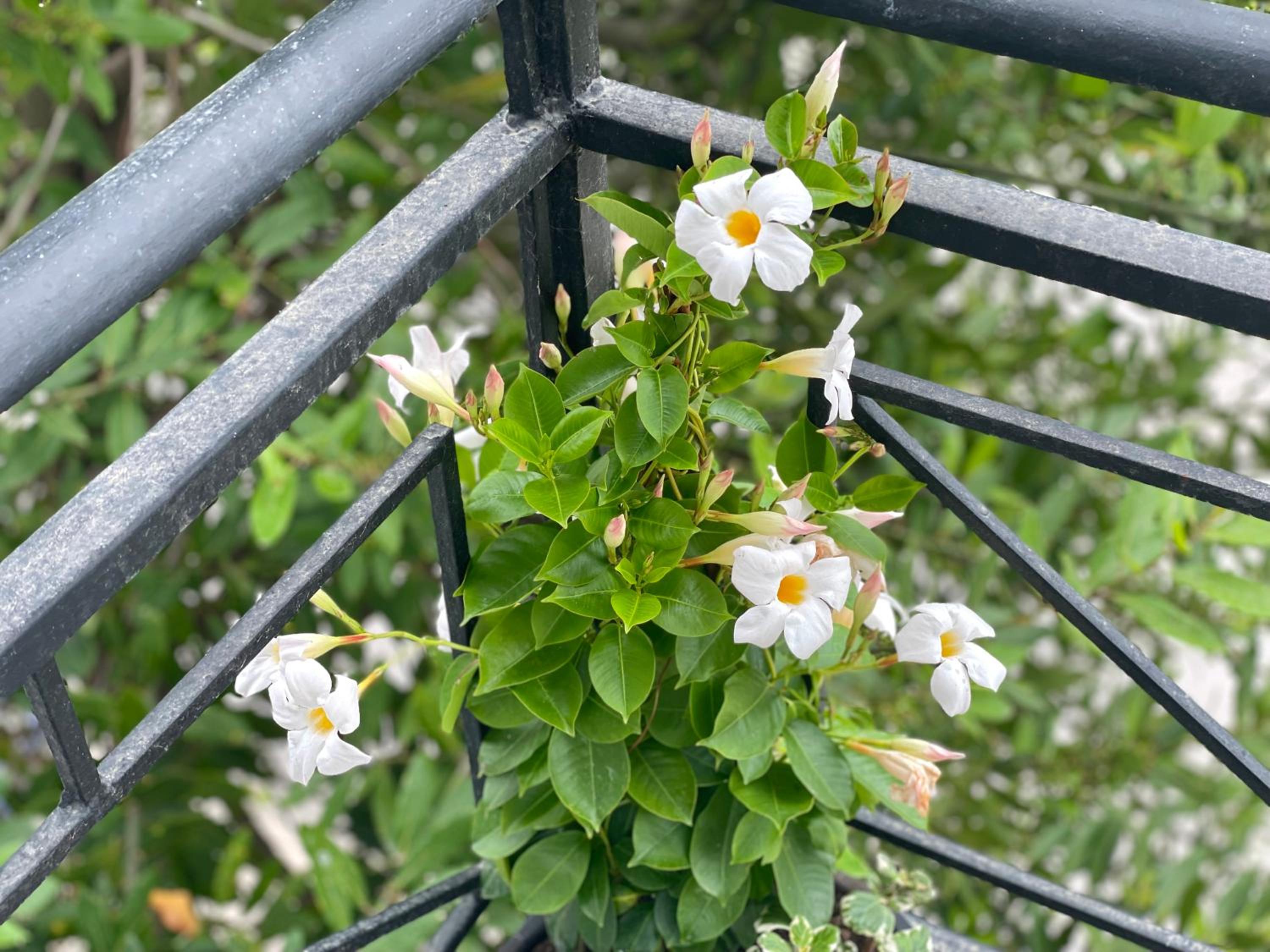 Residenza Lumturi