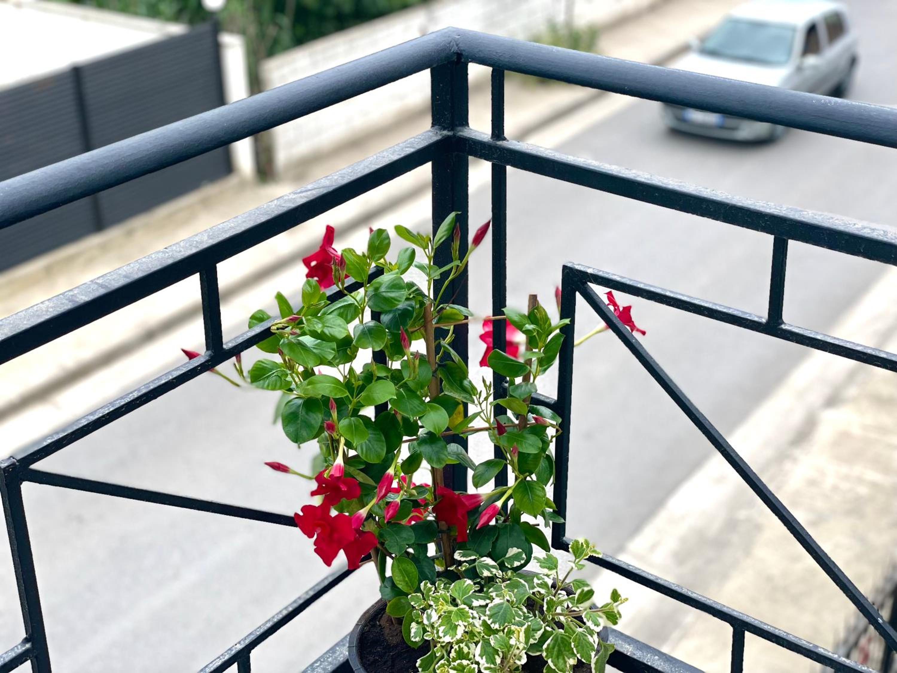 Residenza Lumturi