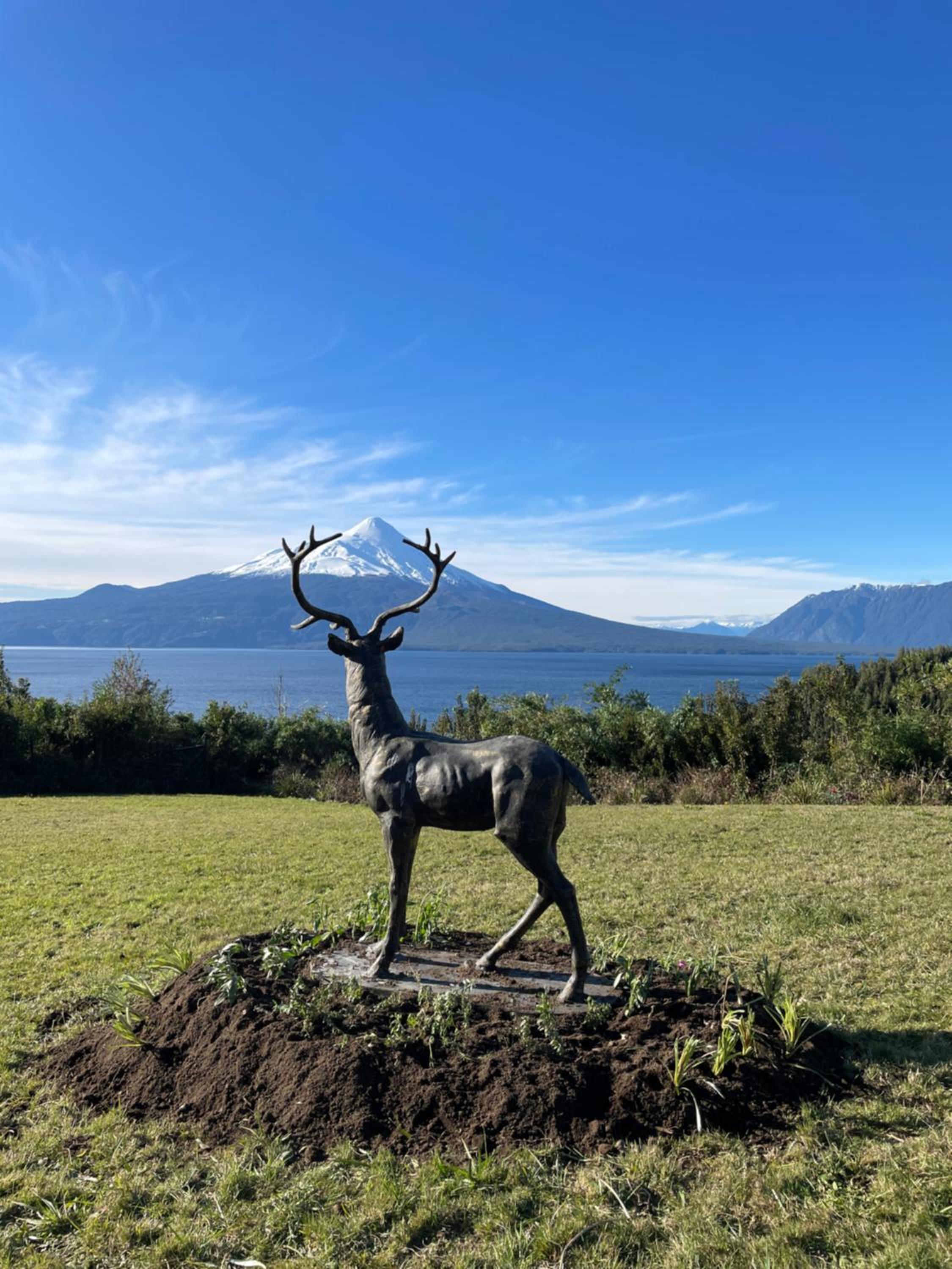 Casa EL CIERVO, Los Riscos, Puerto Varas