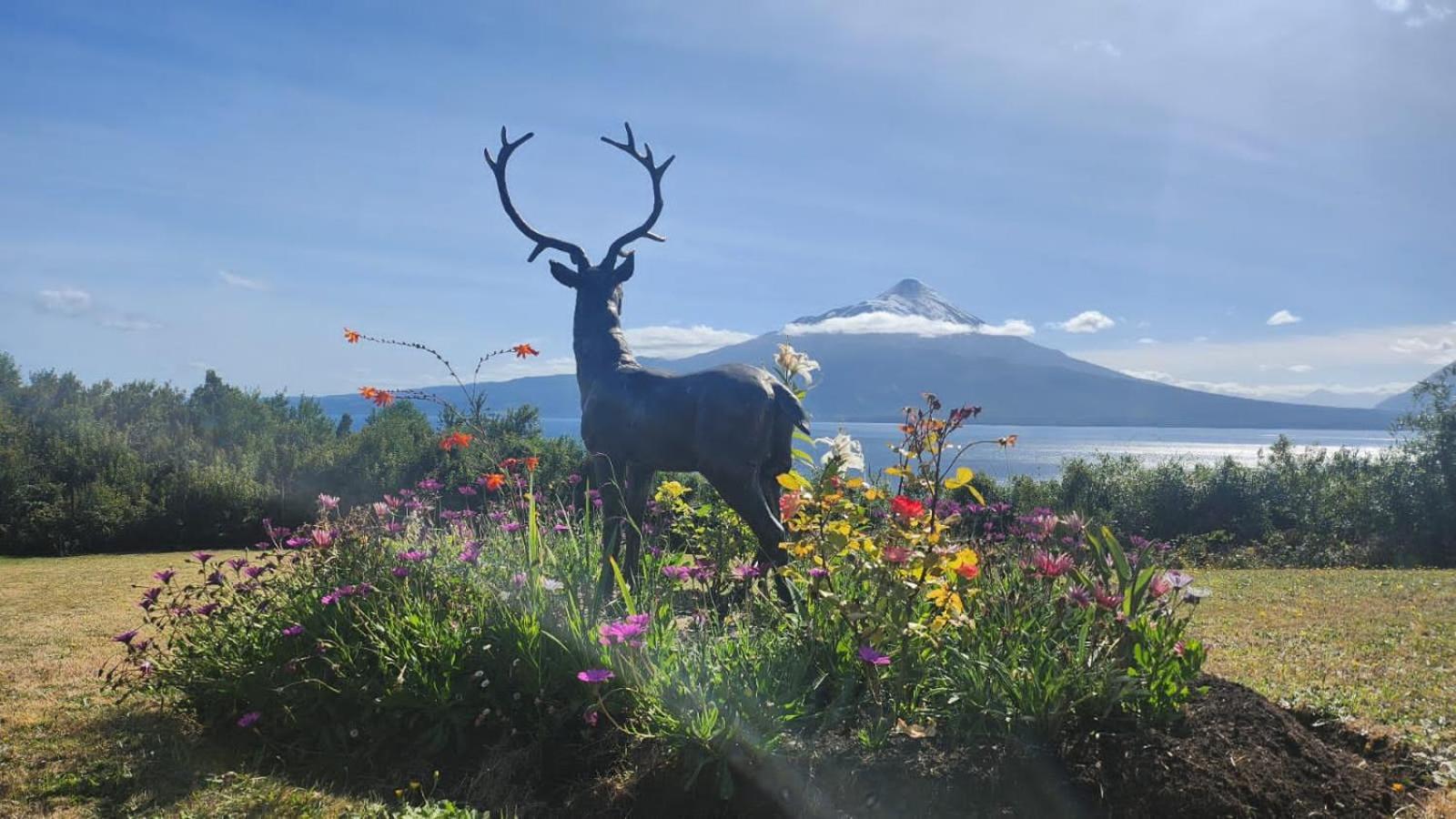 Casa EL CIERVO, Los Riscos, Puerto Varas