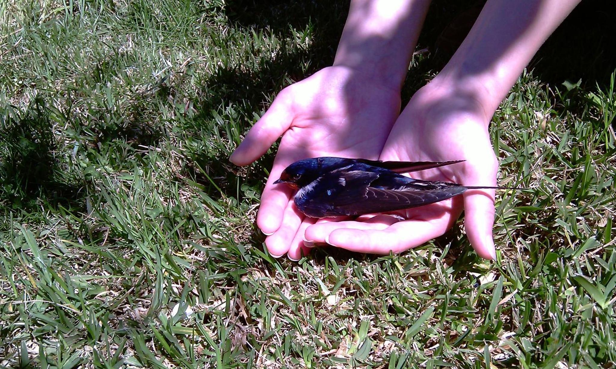 Photo 11