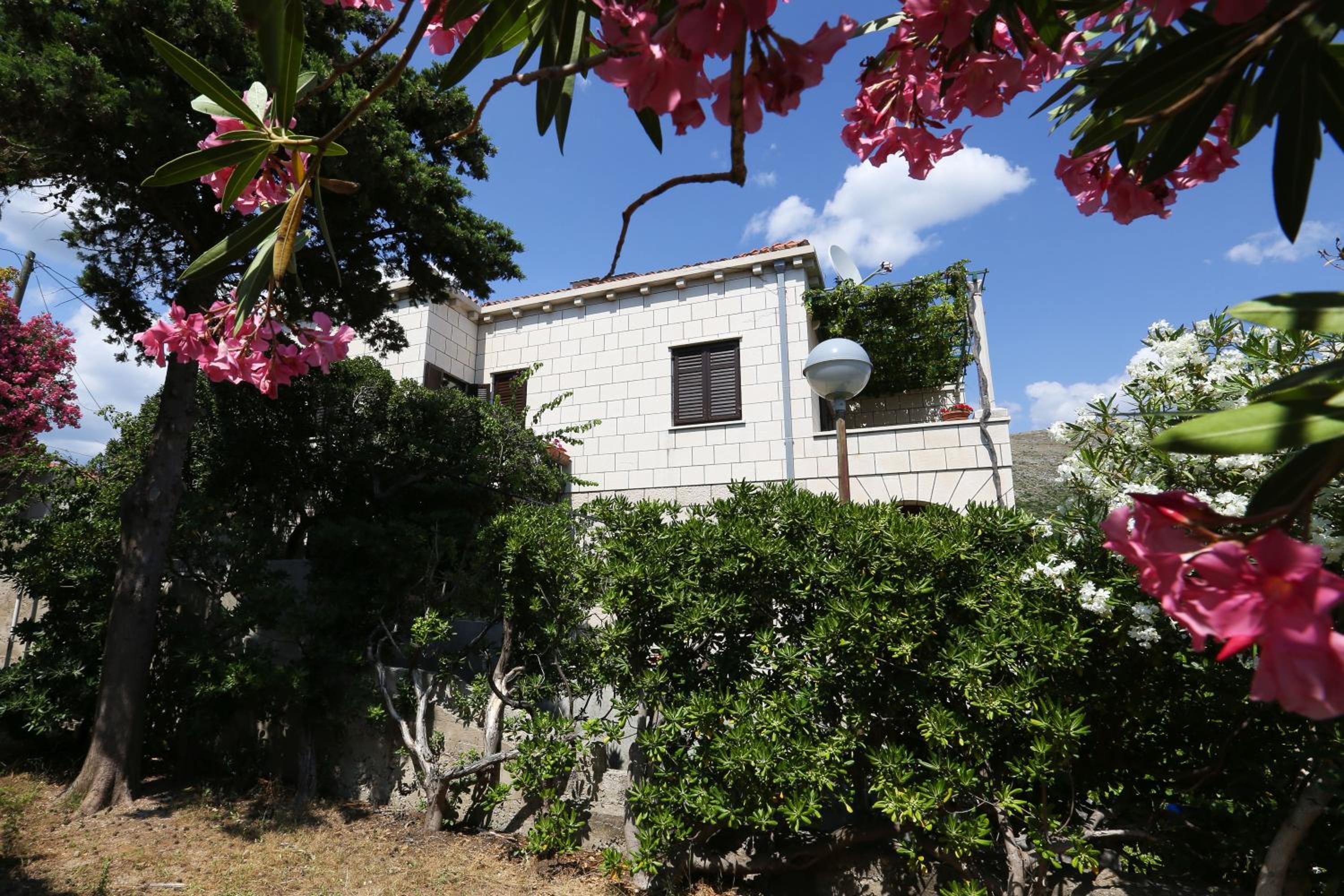 Rooms Cvetka