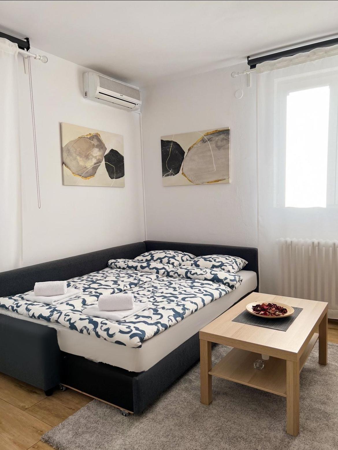 Strict Center Apartment With Large Terrace view 4