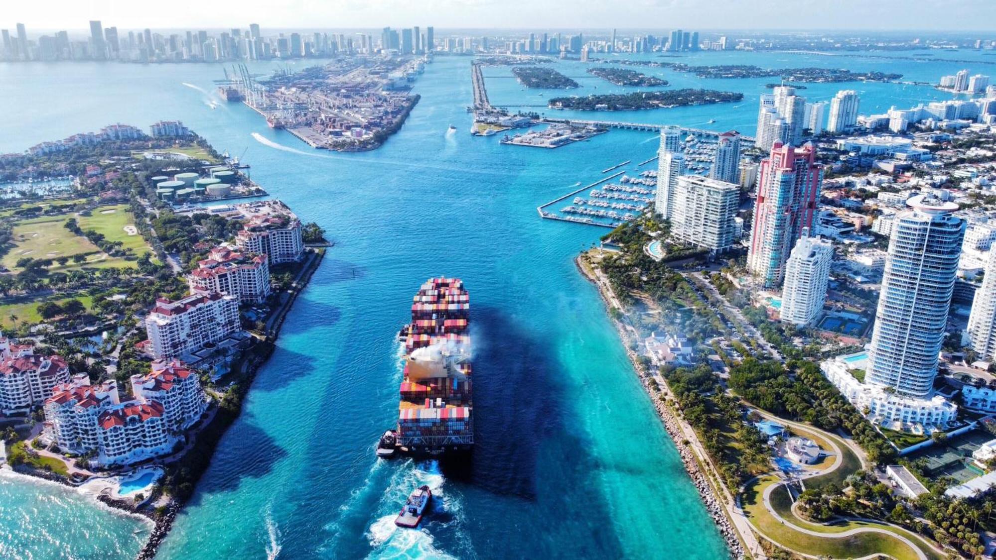 Stunning Little Havana Suites Close to airport, Calle Ocho, Brickell, Wynwood and the Beaches - Free Parking