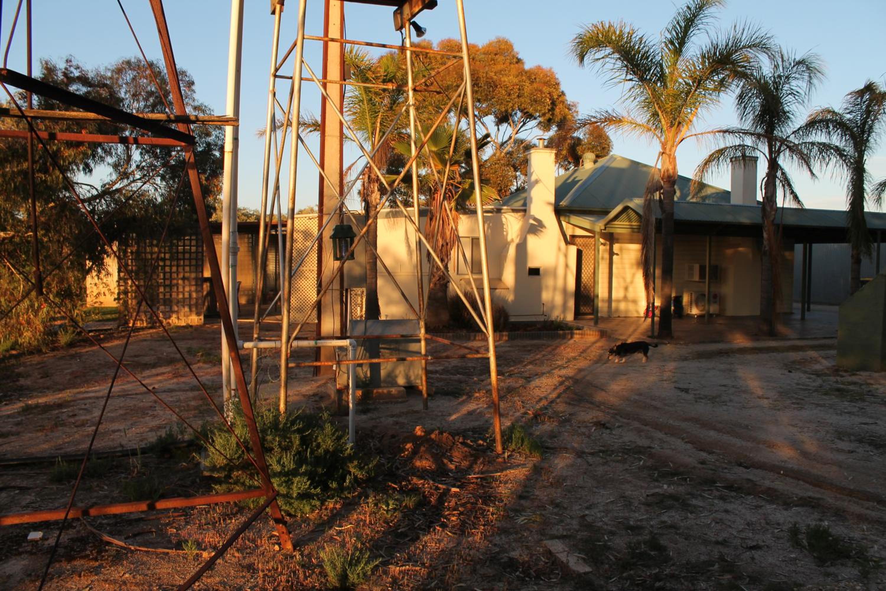 building