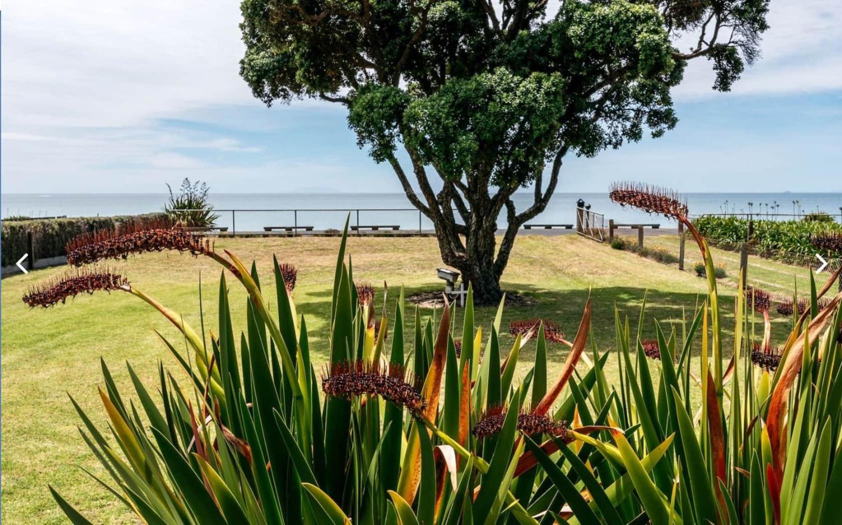 Onetangi Beachfront Escape - Coast & Country view 3