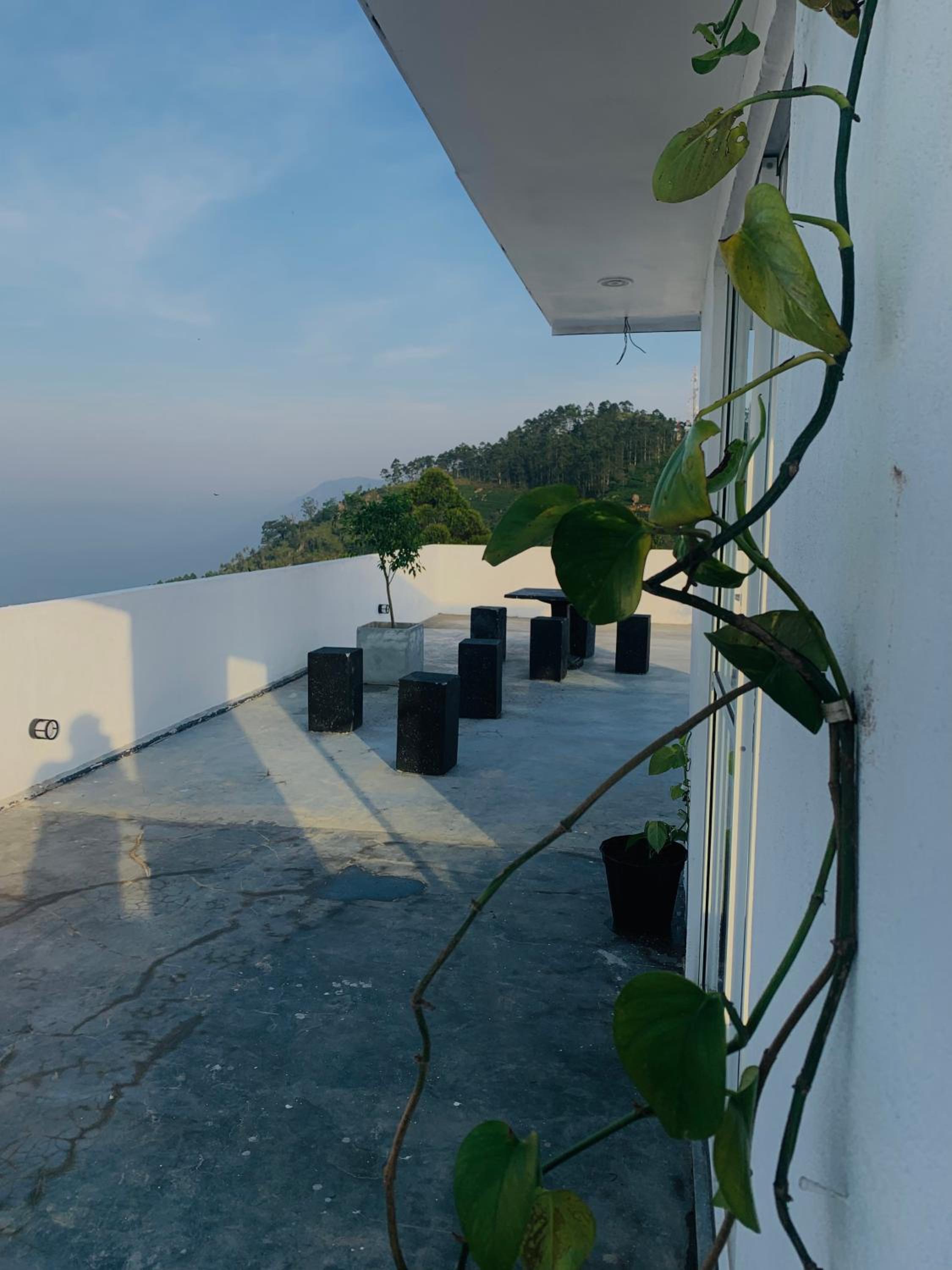 The Fog House