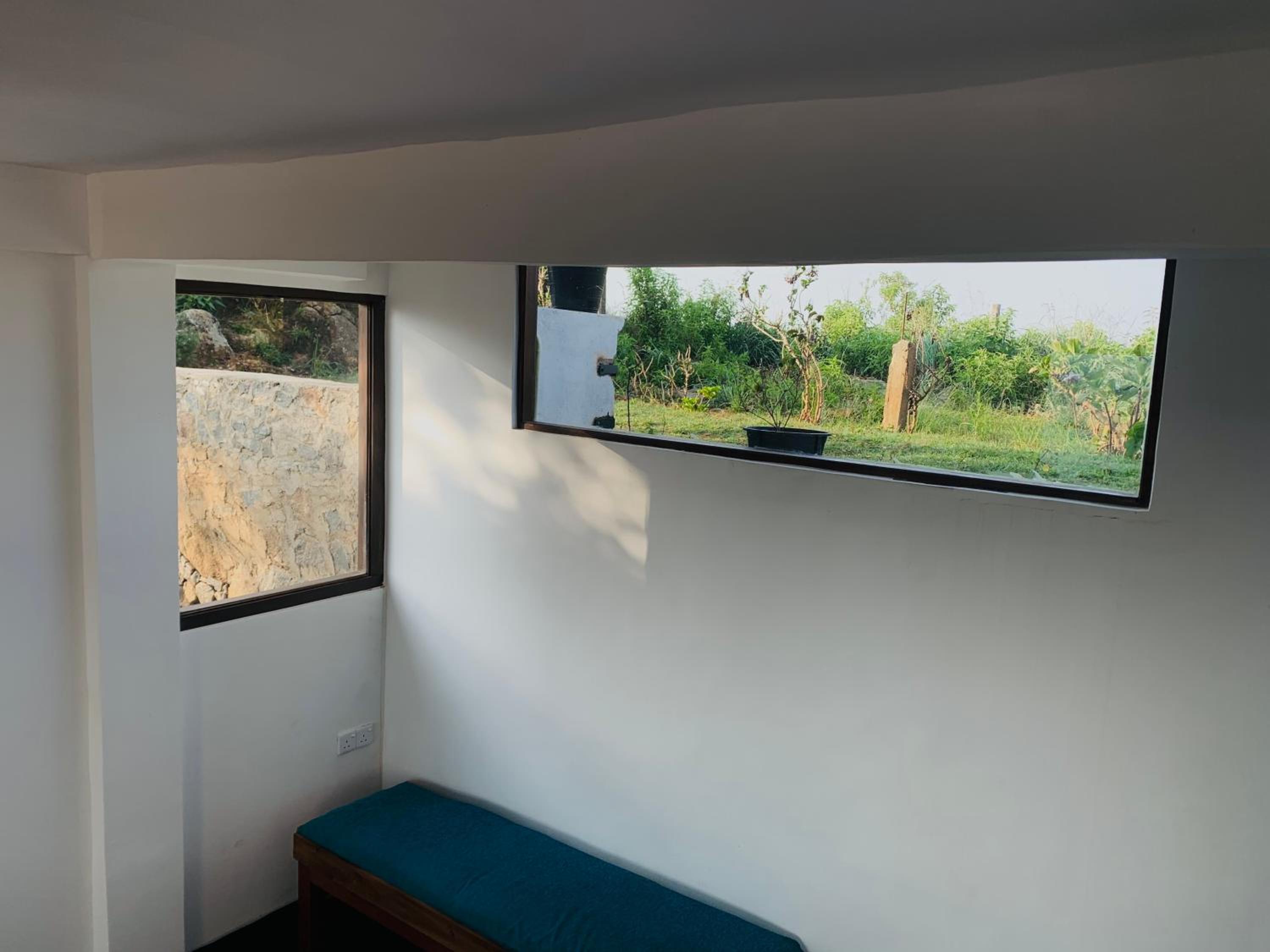 The Fog House