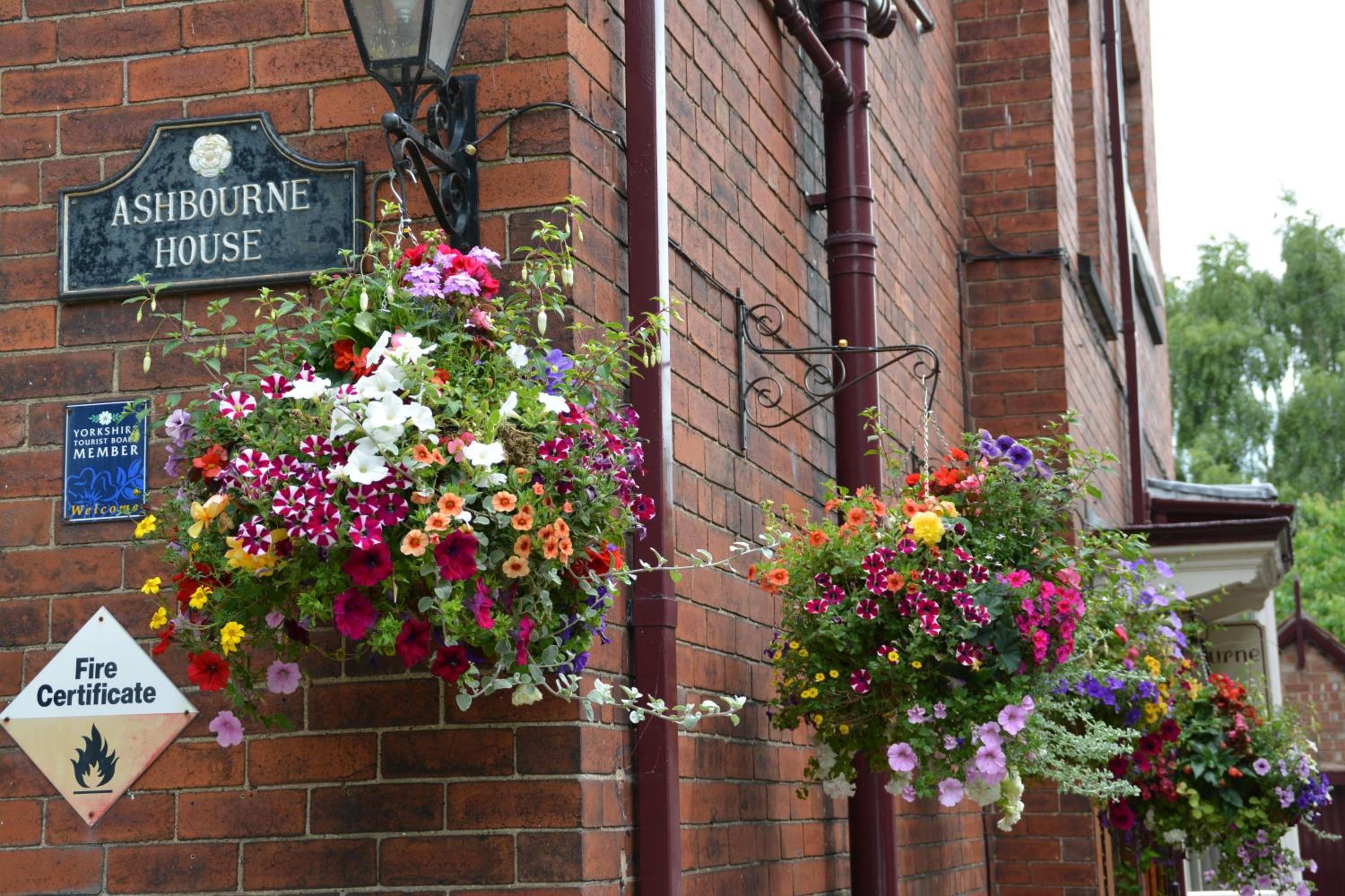 Ashbourne House - Image 3