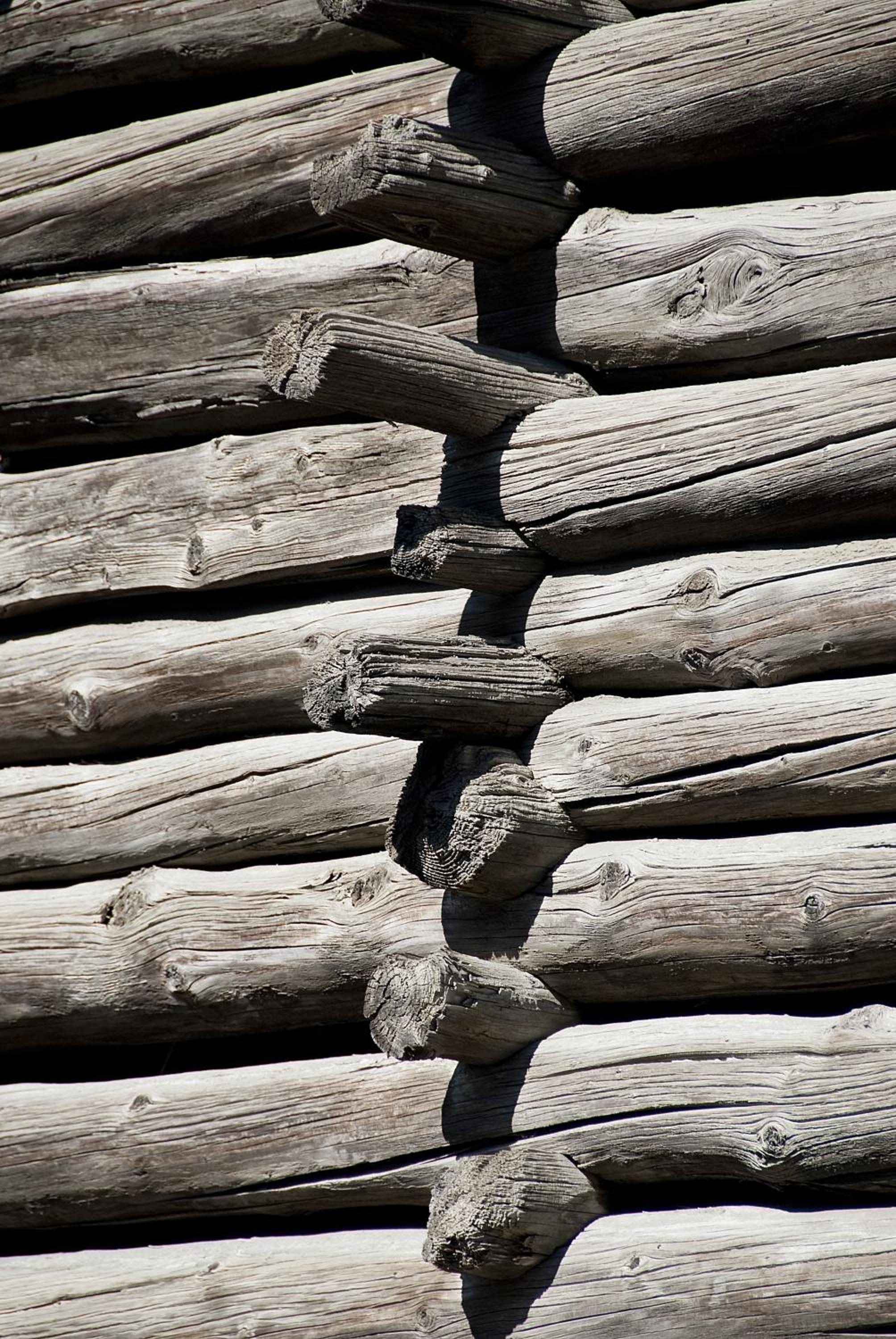 Photo 45