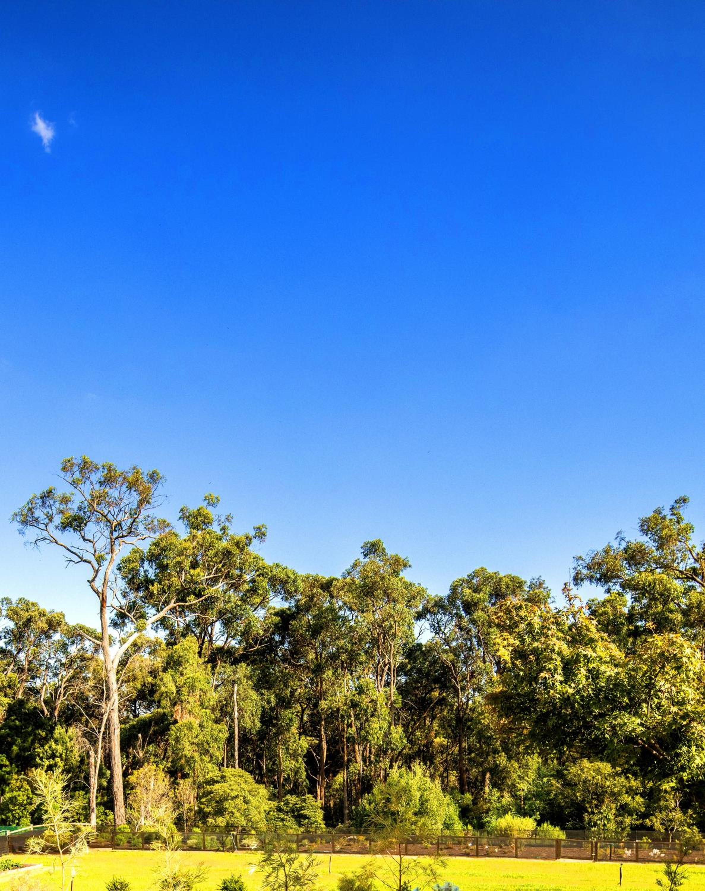 Perfect Location for Yarra Valley Dandenong Ranges