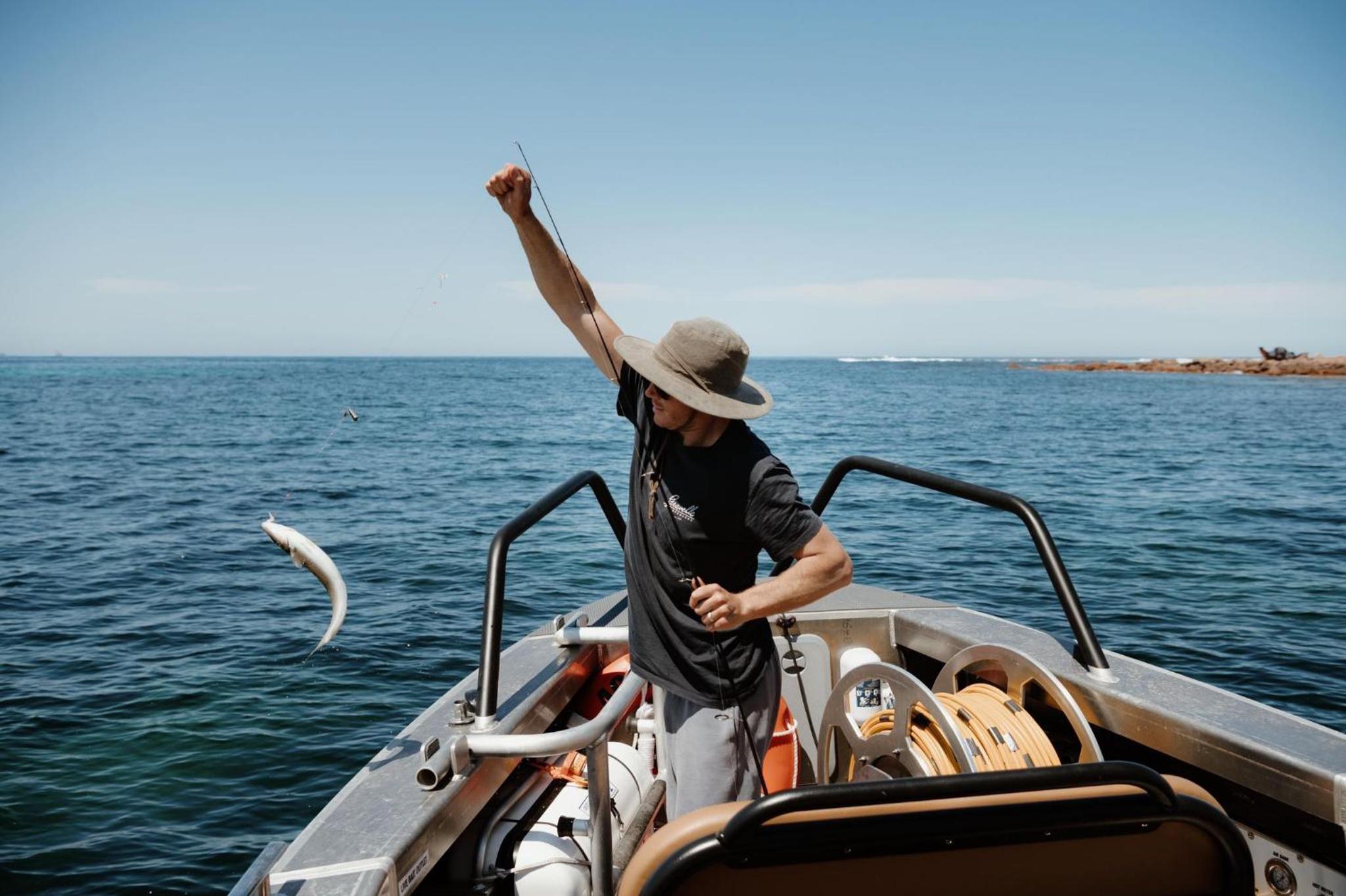 Flinders Island Eco Escape