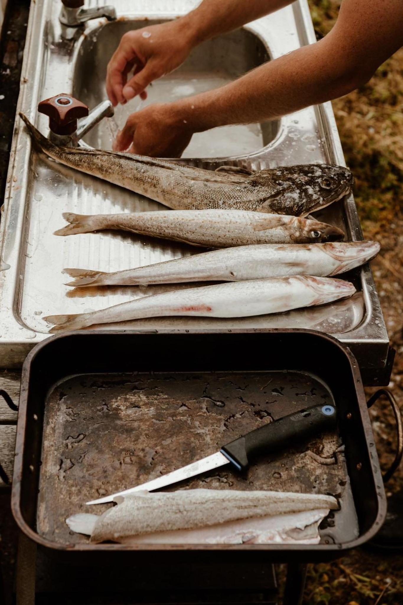 Flinders Island Eco Escape