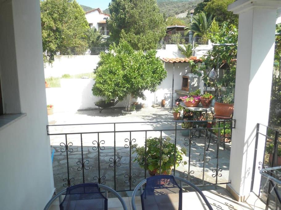 Villa Dima