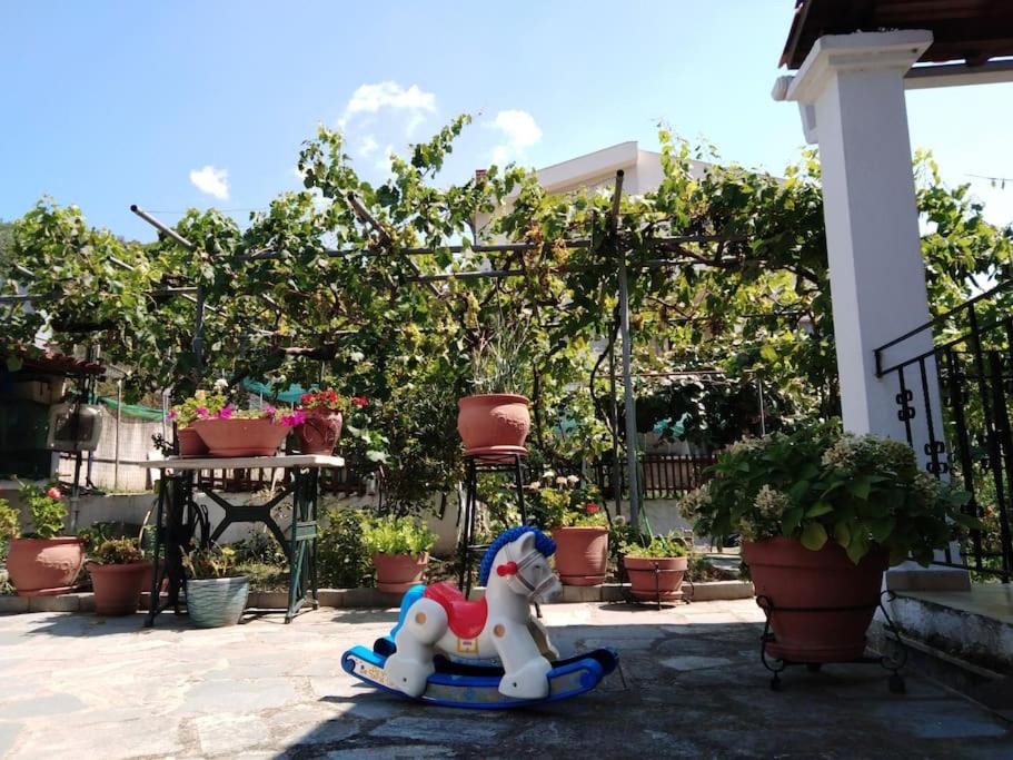 Villa Dima