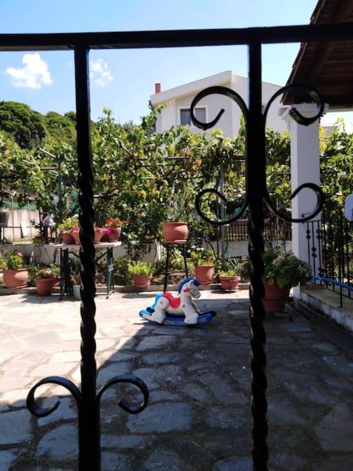 Villa Dima