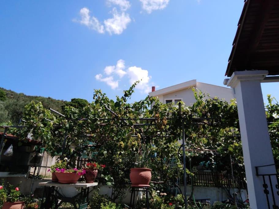 Villa Dima