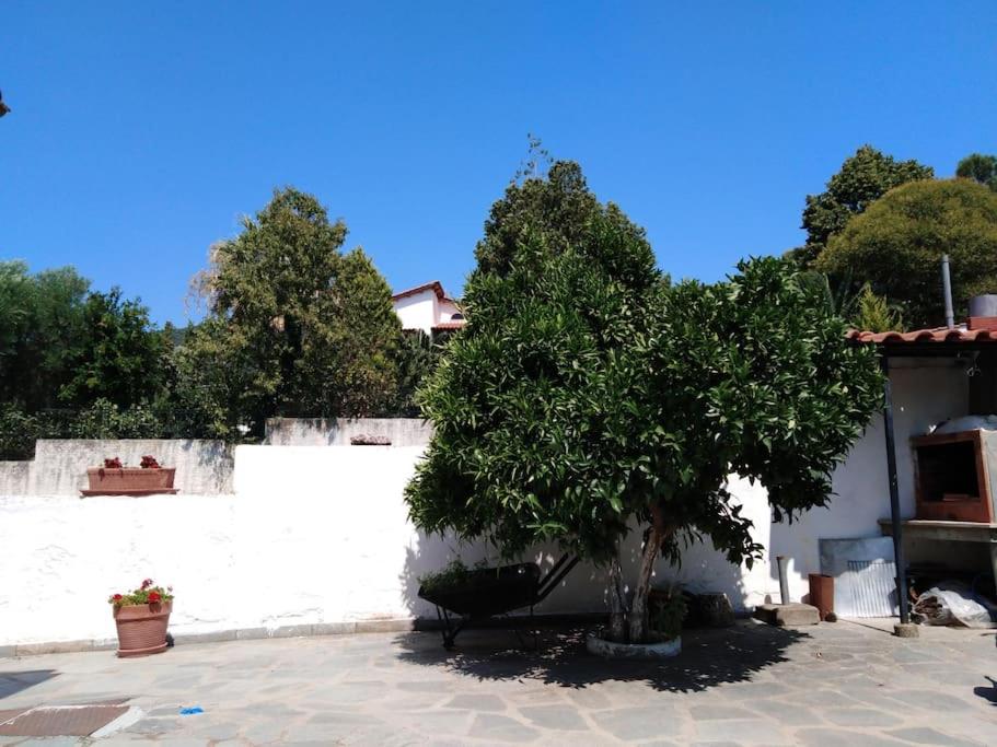 Villa Dima