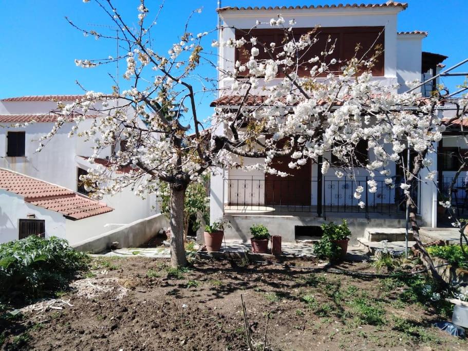 Villa Dima