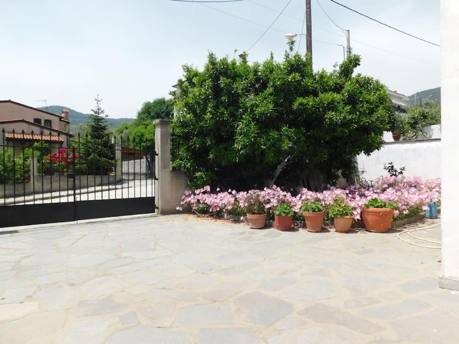 Villa Dima