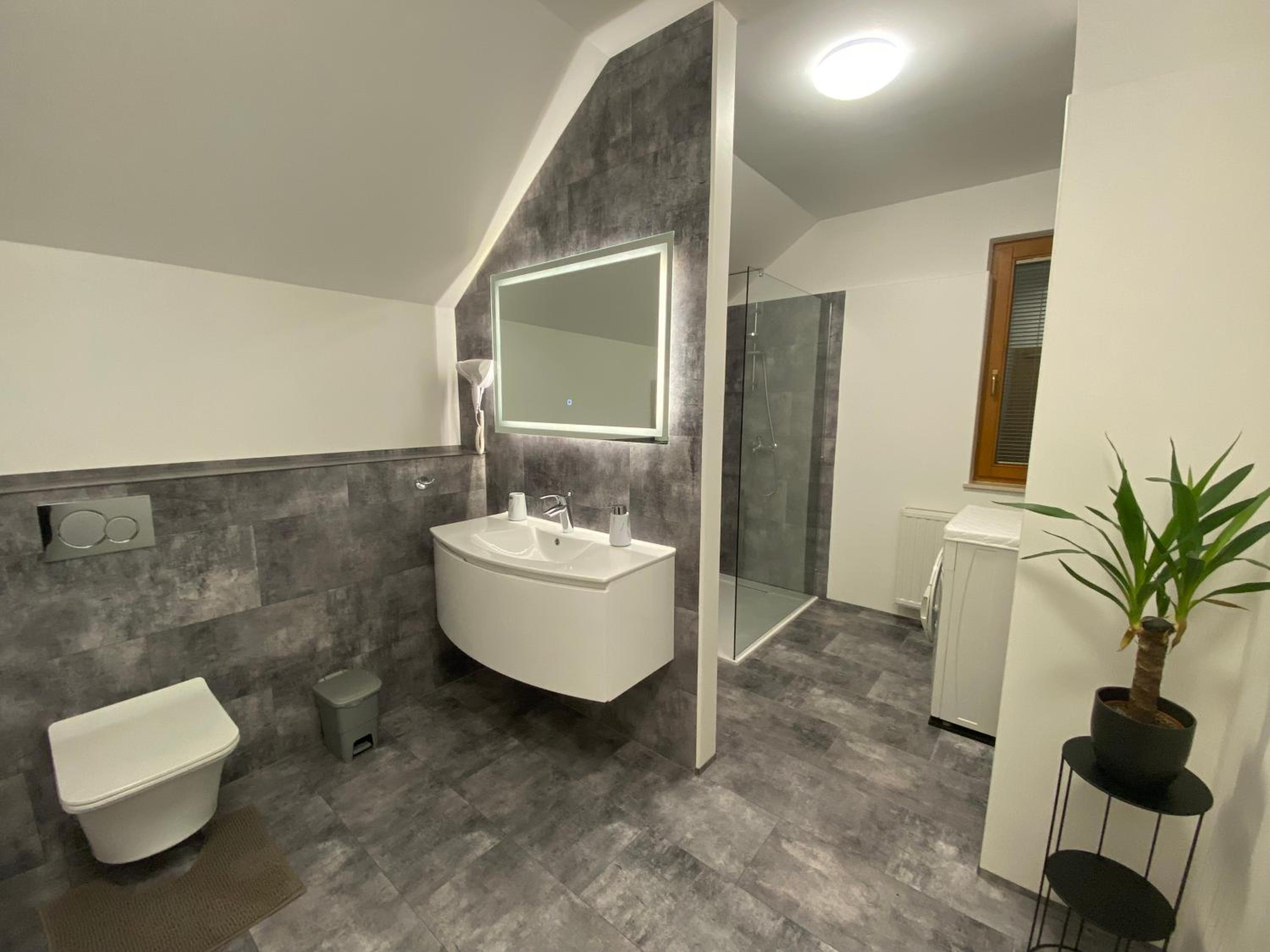 APARTMA BRDO BC view 2