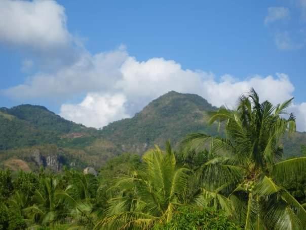 Photo 29