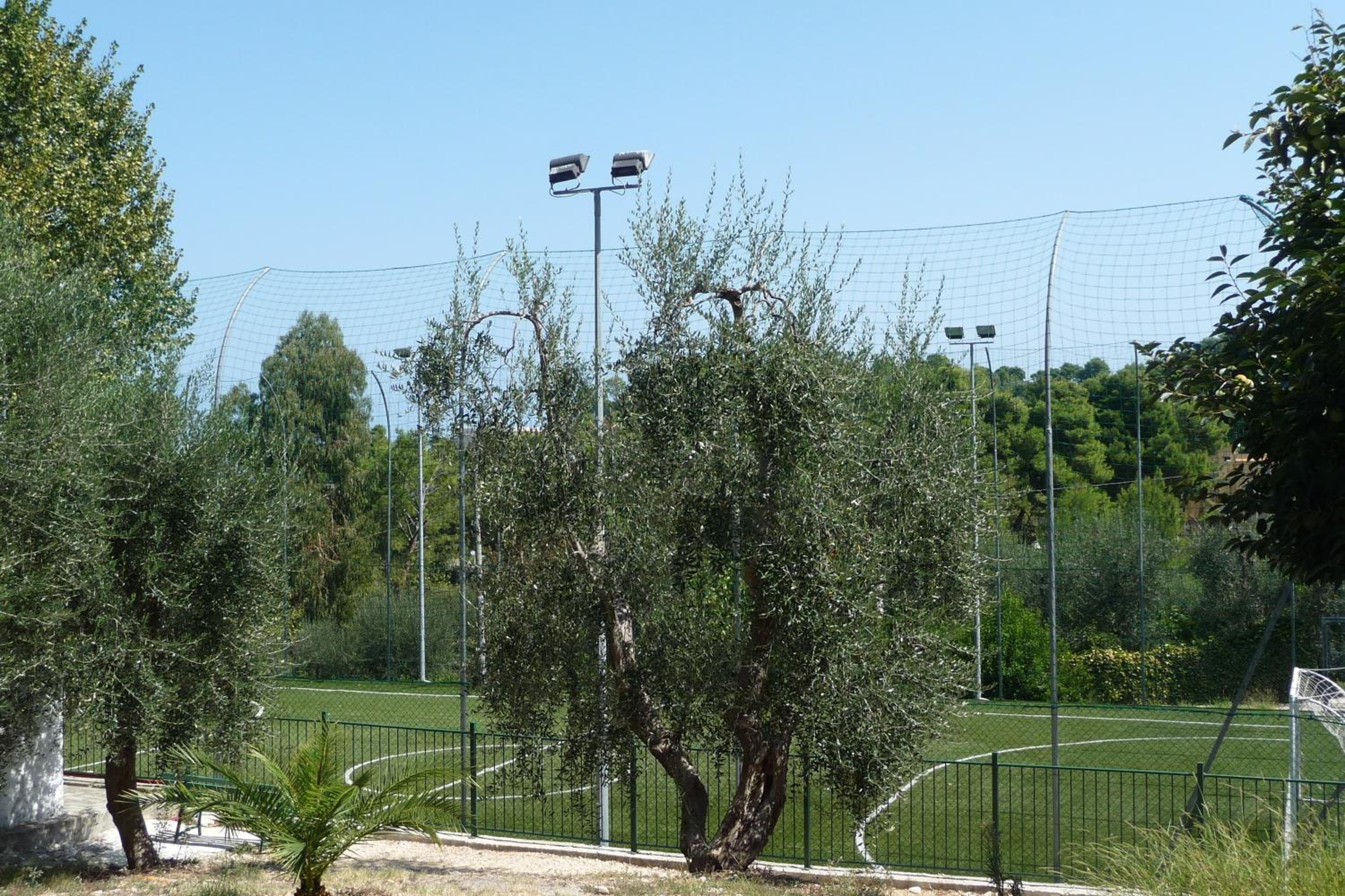 Camping Villaggio Internazionale