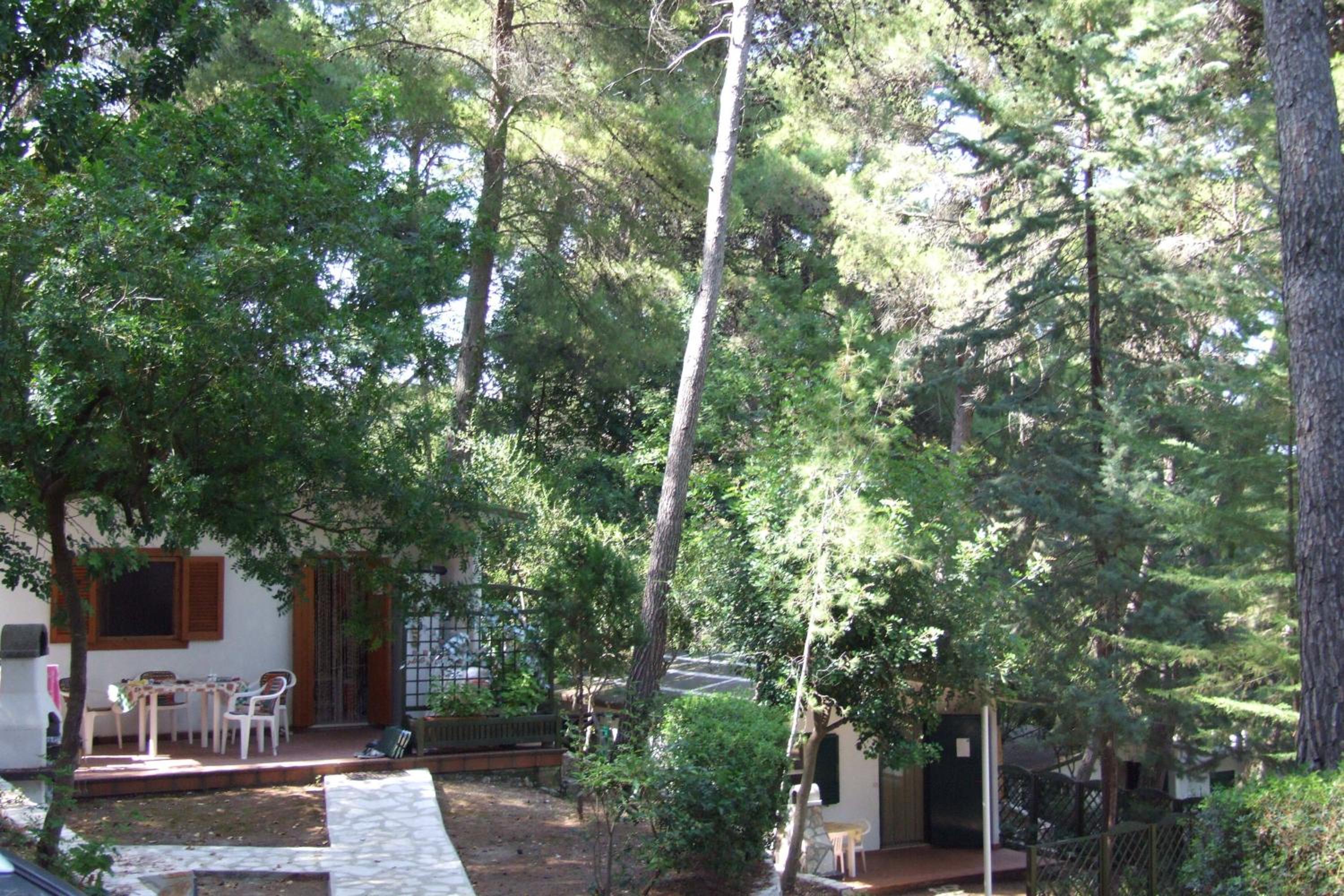 Camping Villaggio Internazionale