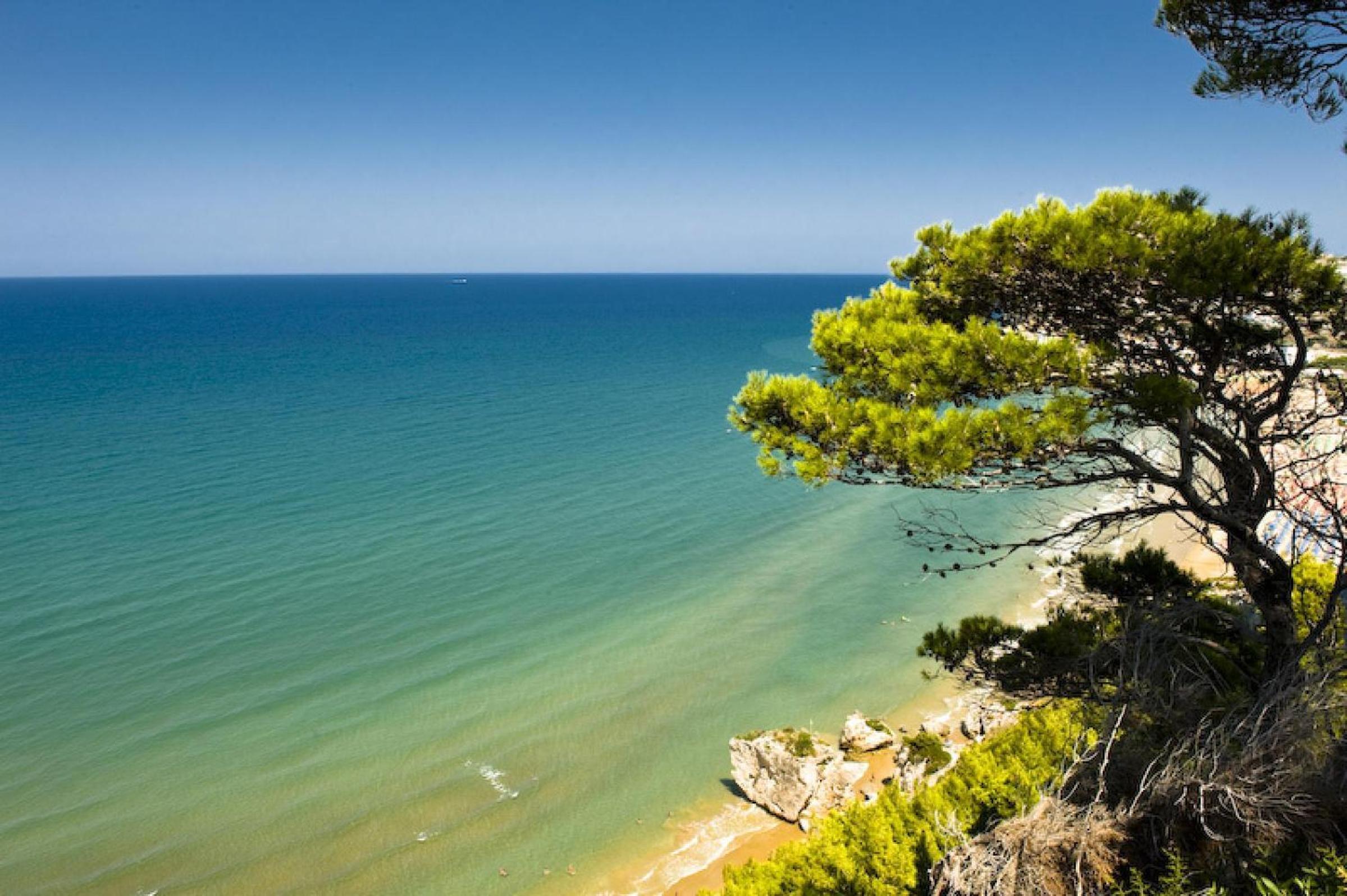 Camping Villaggio Internazionale