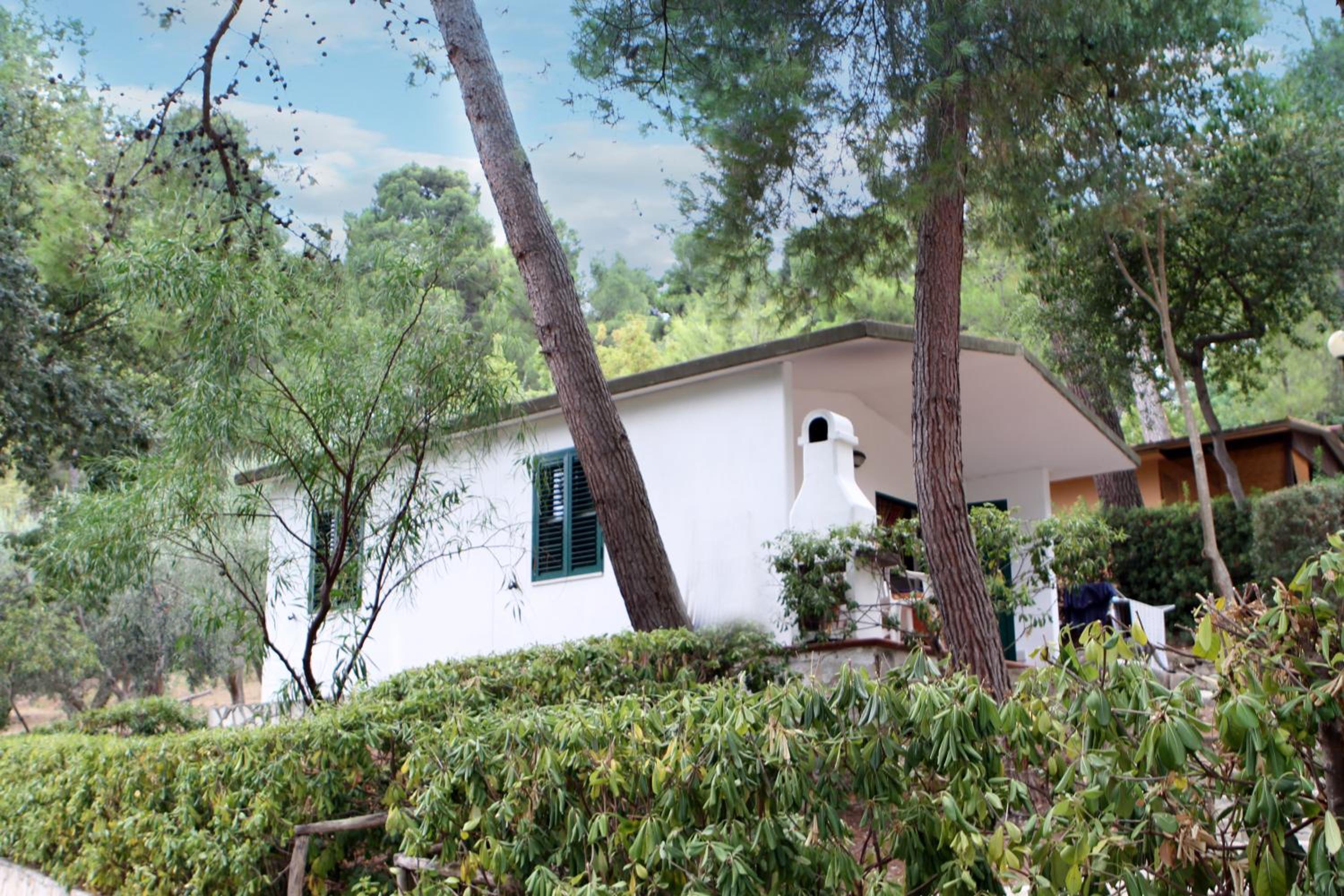 Camping Villaggio Internazionale
