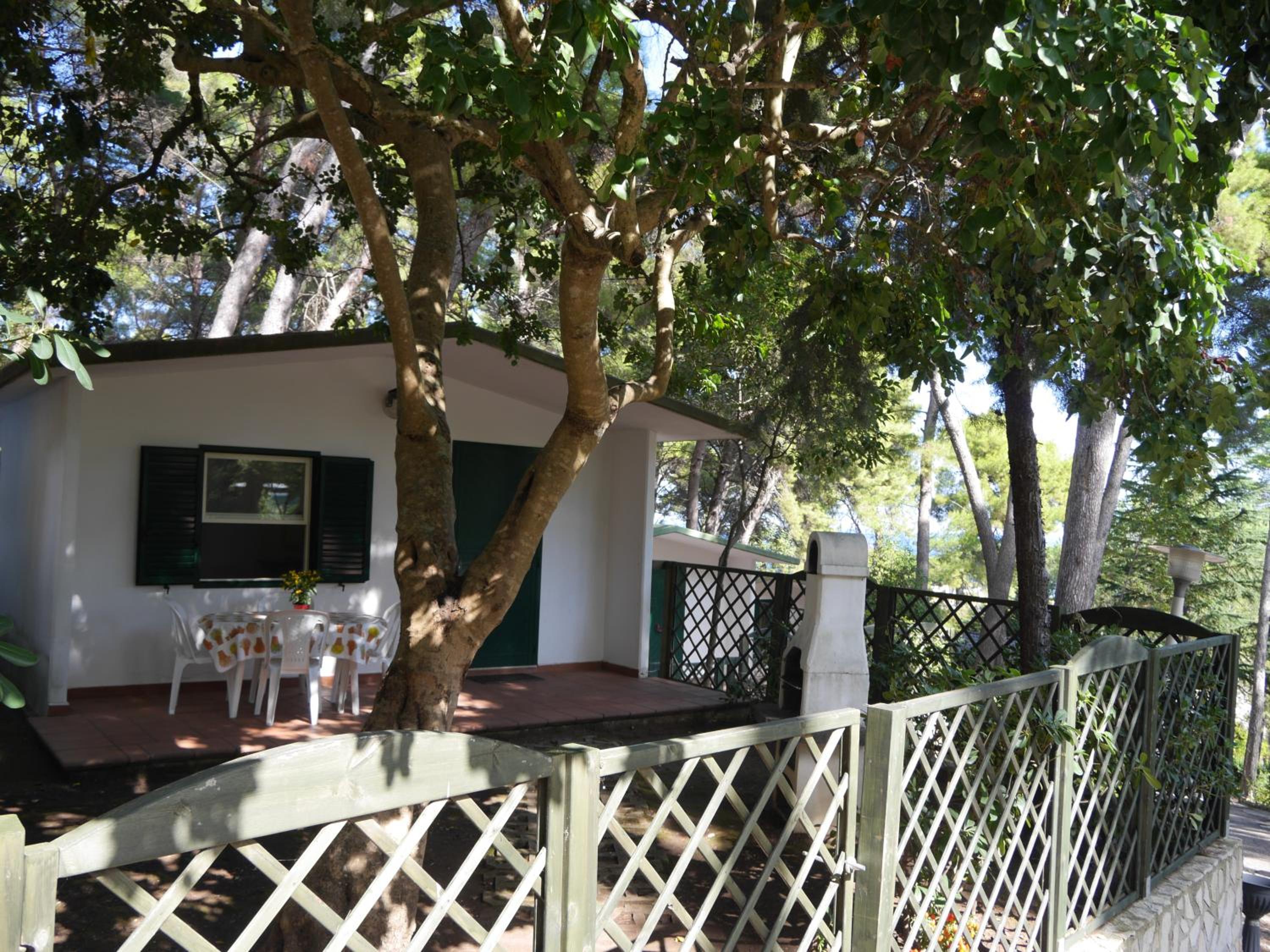 Camping Villaggio Internazionale