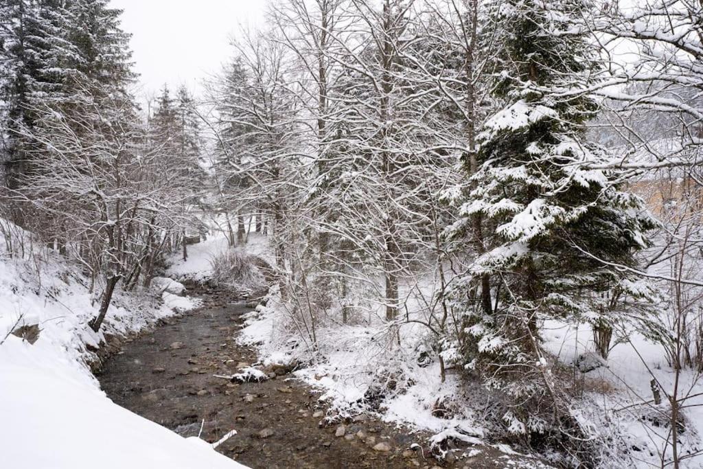 Butterfly Cottage by the Creek view 4