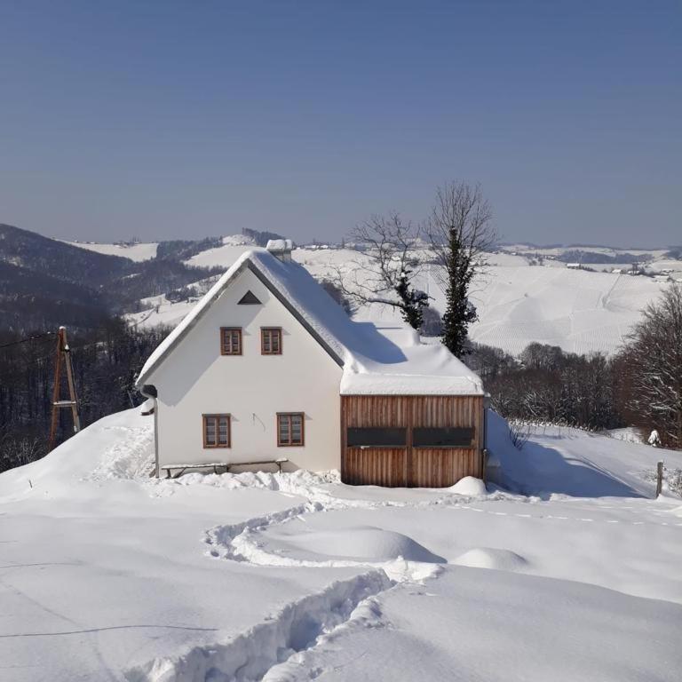 Weingartenhaus Eckberg41