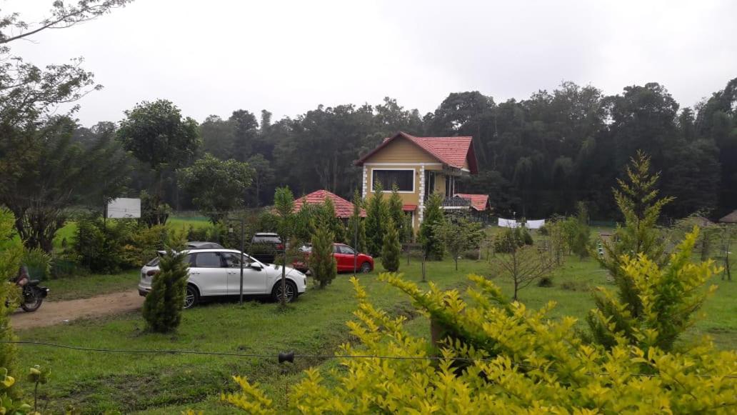 Tiger Roar Resort view 3