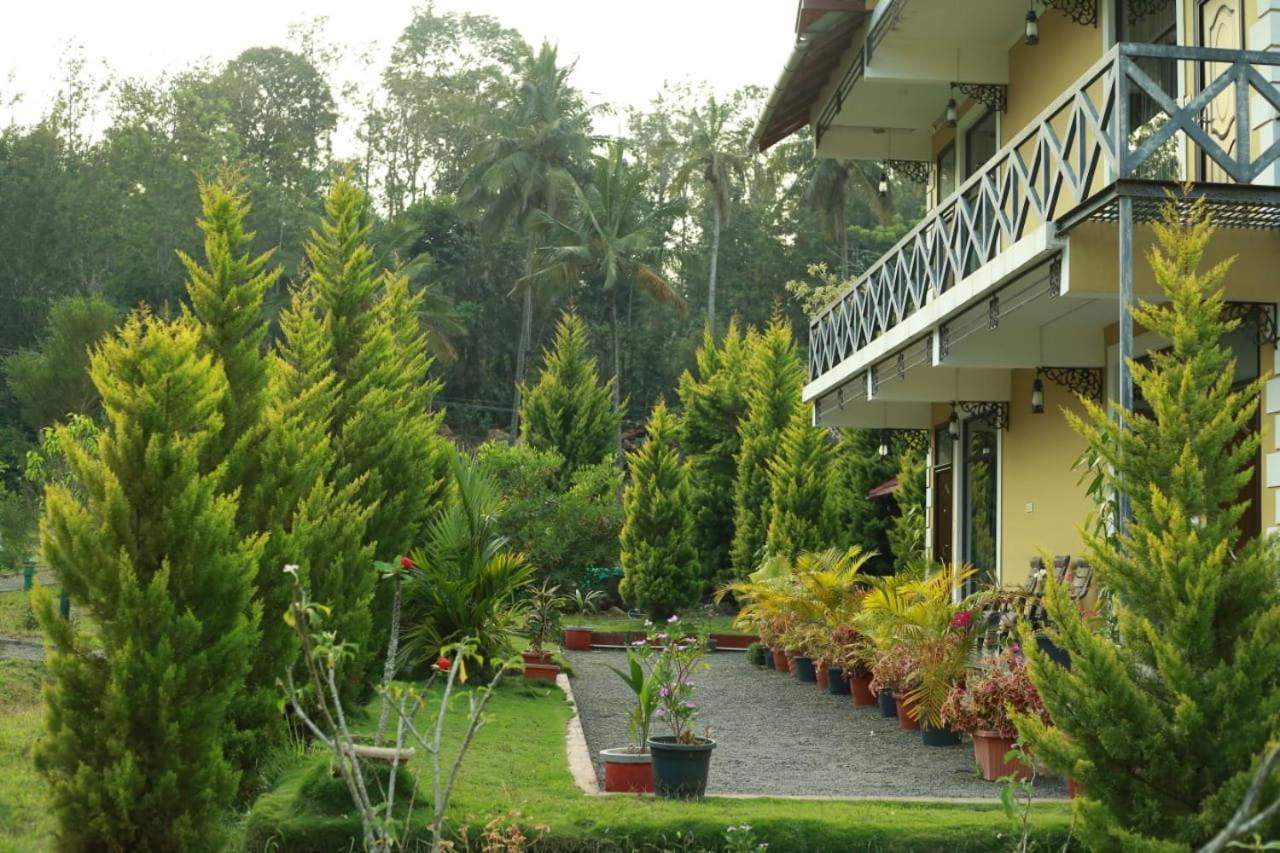 Tiger Roar Resort view 4