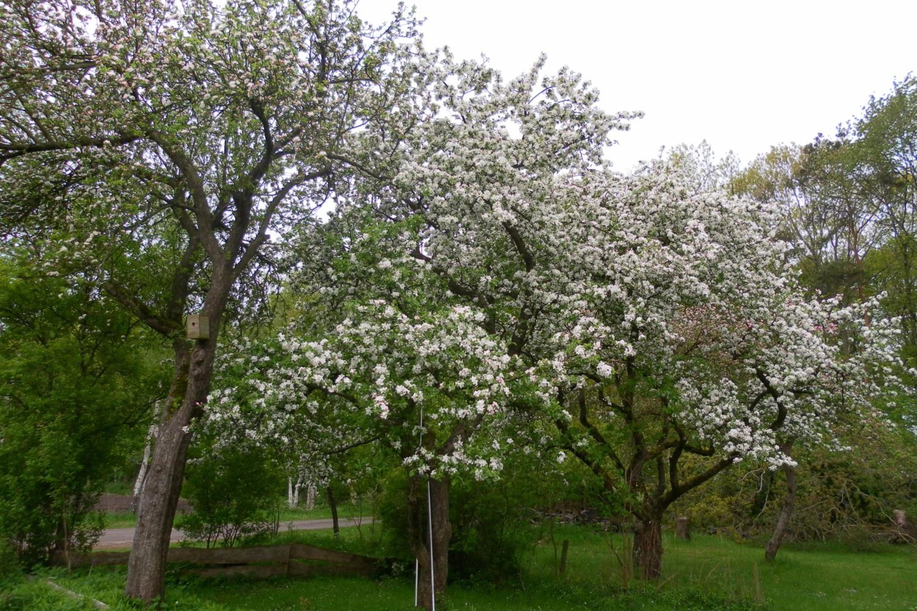 Photo 17