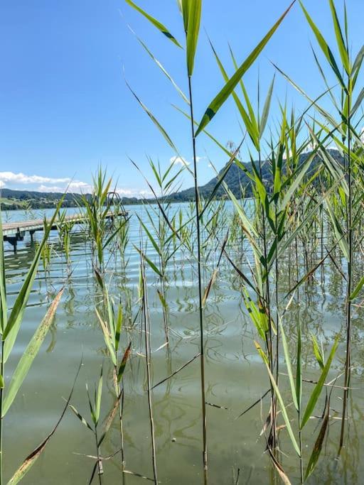 Ferienwohnung, wenige Minuten vom Wörthersee