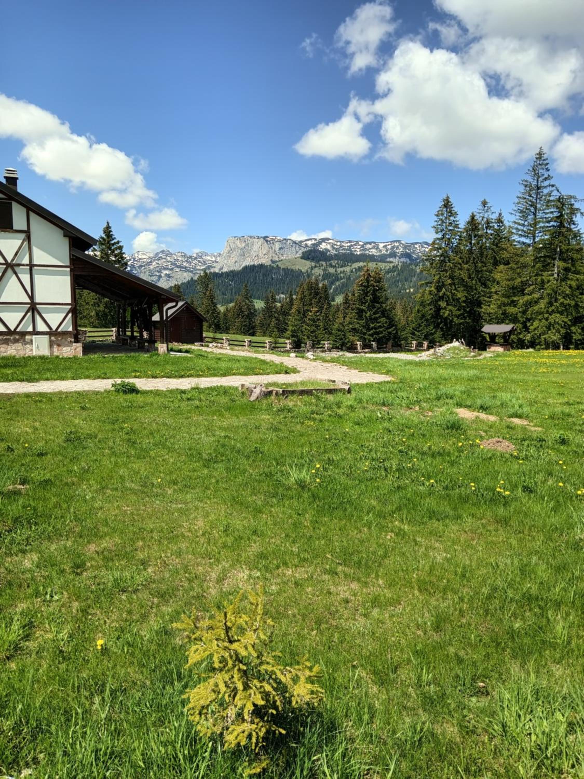 Sumski kutak view 4