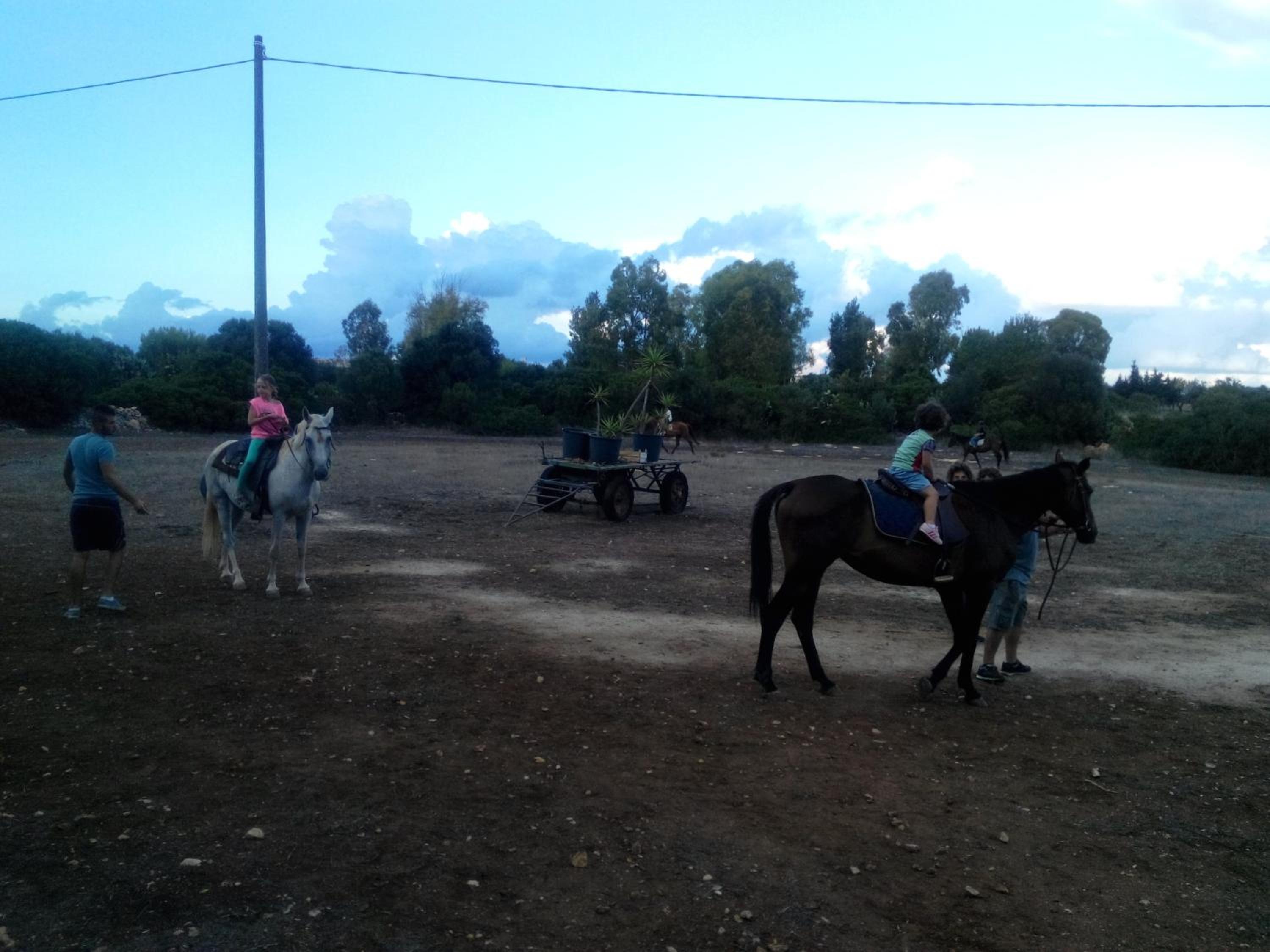 Photo 24