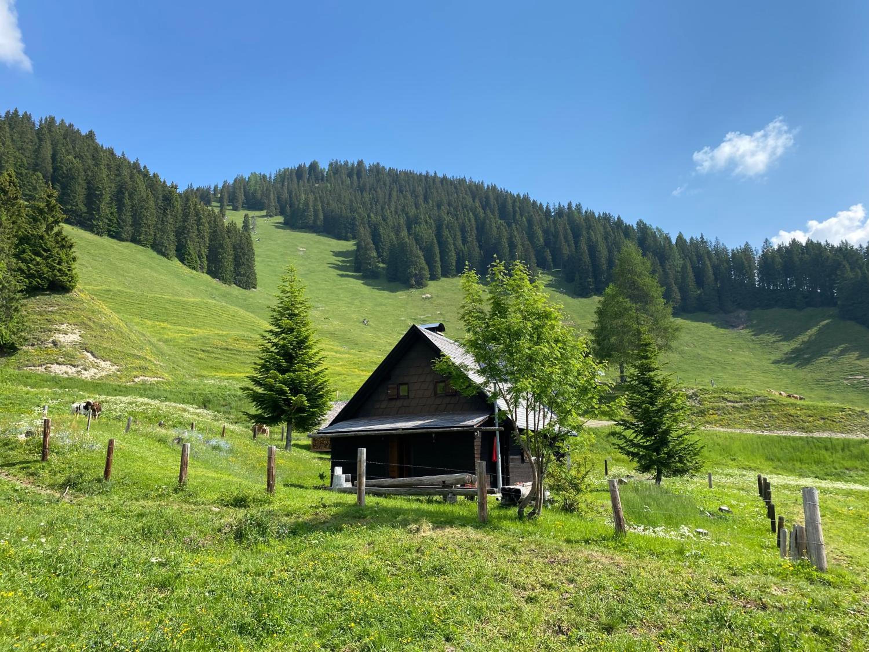 Jörgenbauerhütte