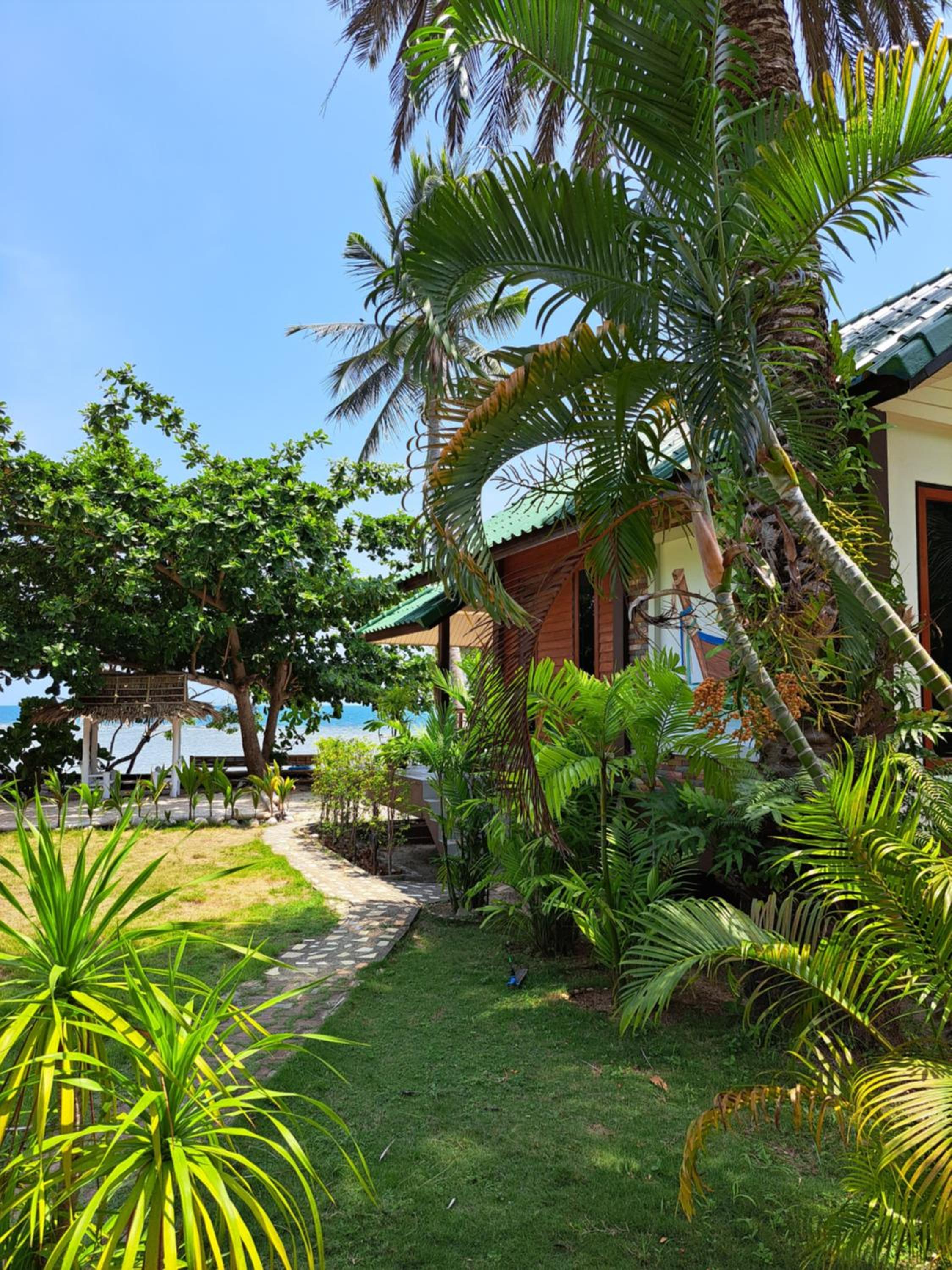 garden