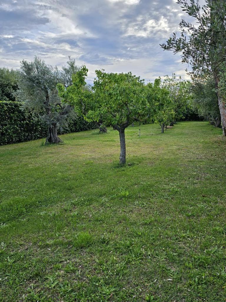 Photo 20