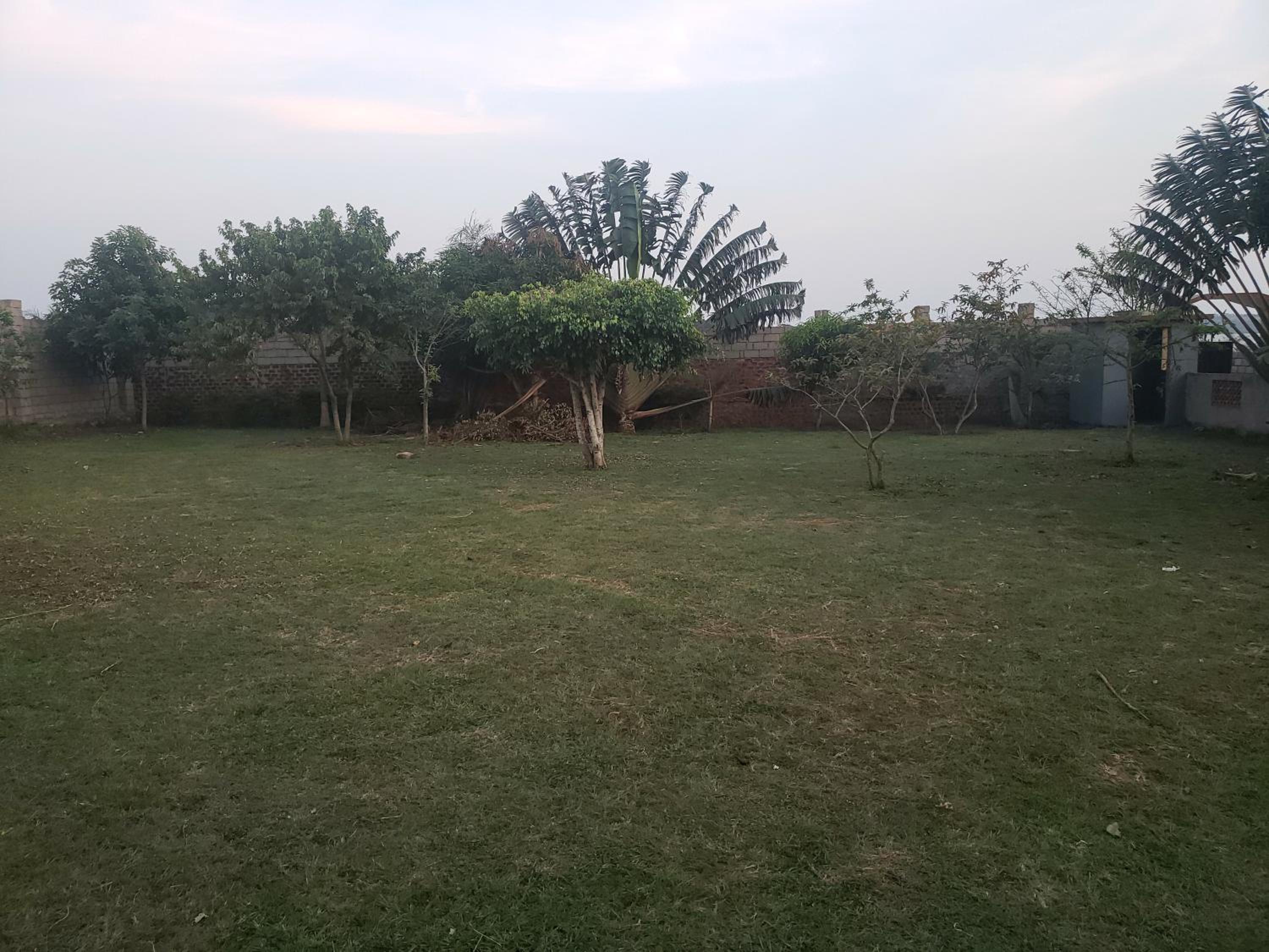 Alice Gardens & Campsite view 3