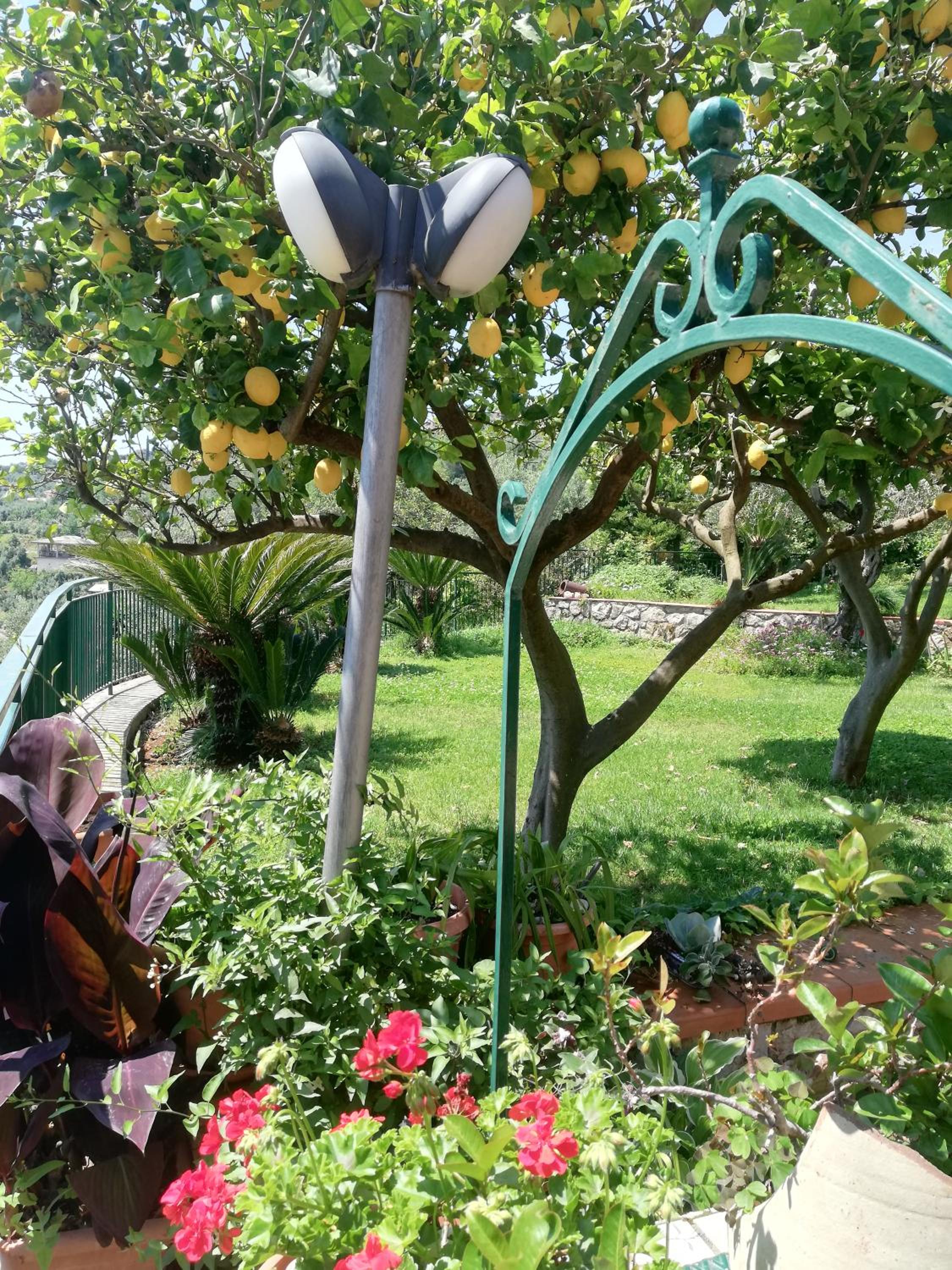 other