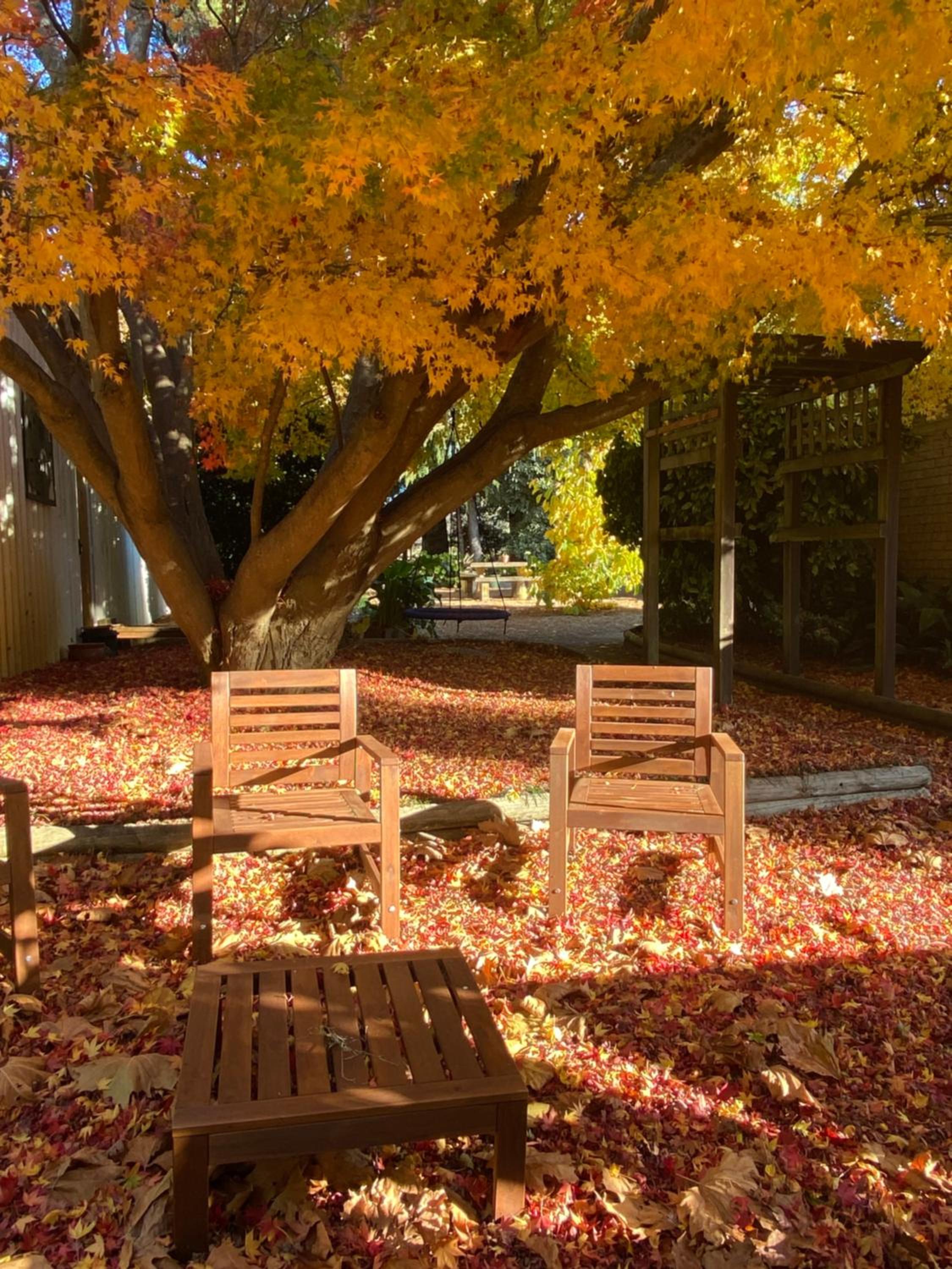 Relaxing at acreage farmhouse