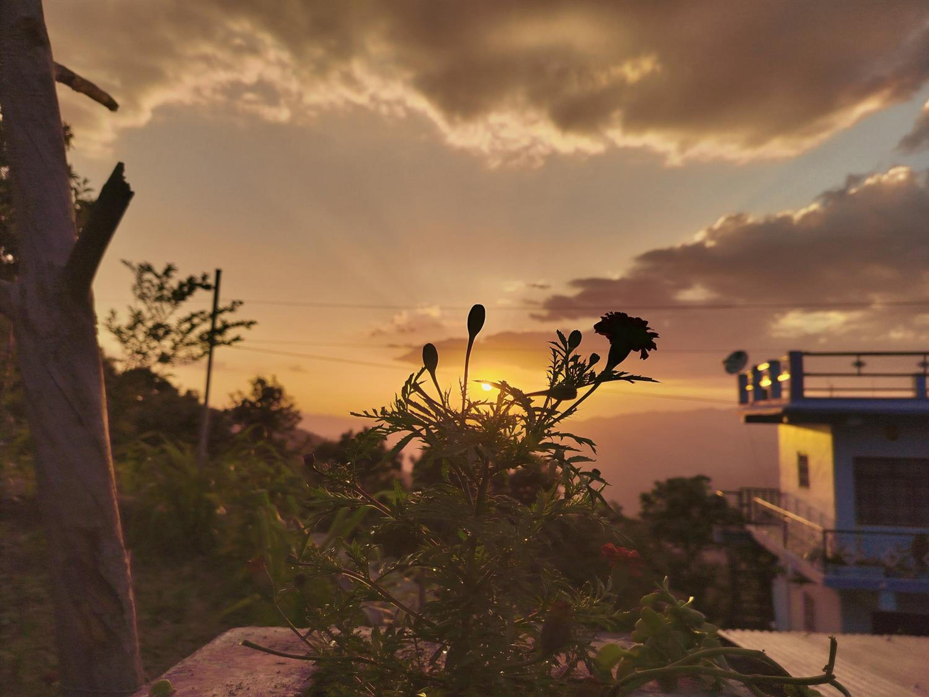 Sharda Stay's Binsar Himalayas view 5