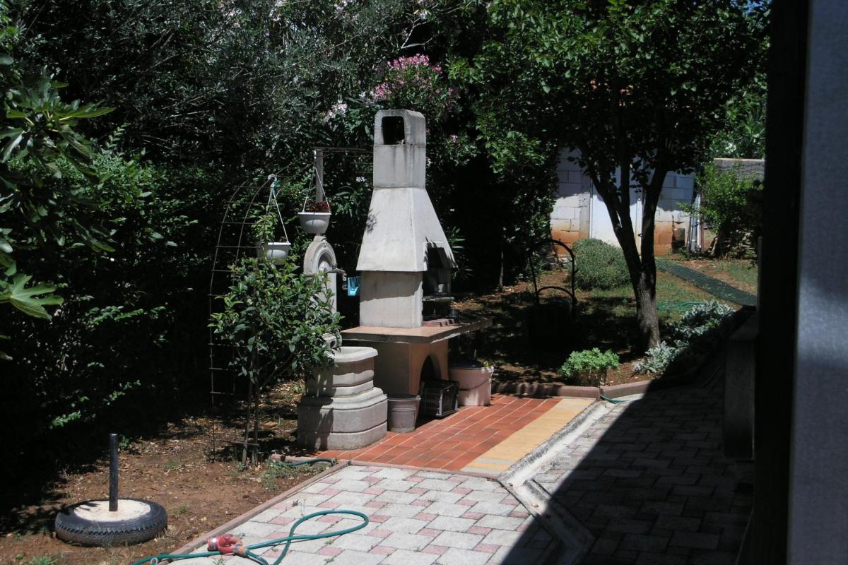 Photo 11