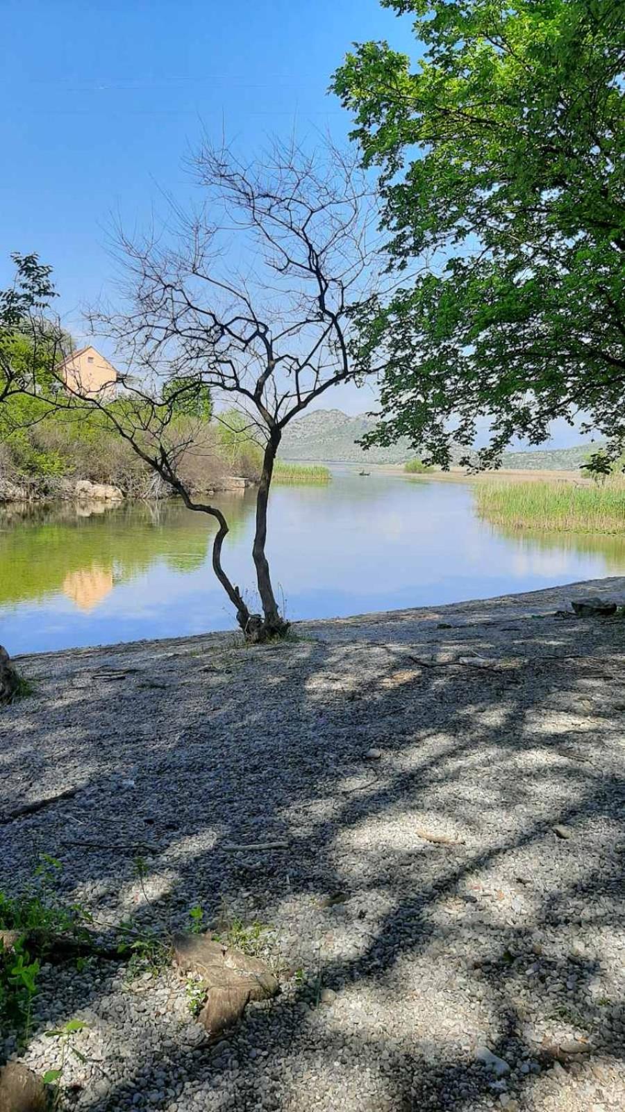 Wild Beauty house Skadar lake view 3