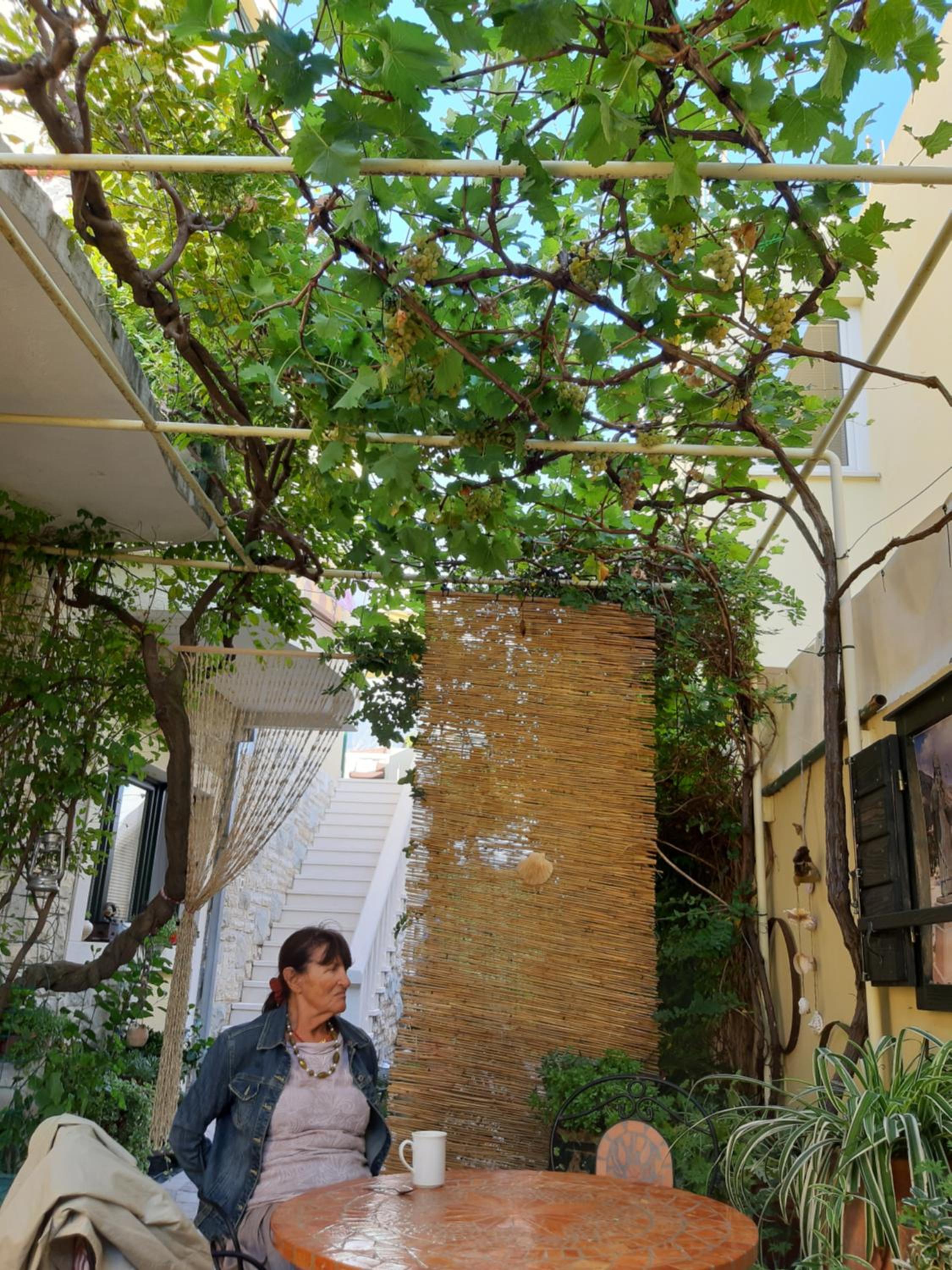 Comfort House San Snova
